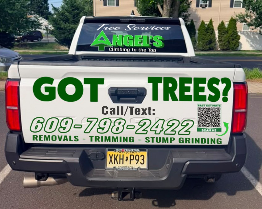 Pickup Tailgate · Angel's Tree Services Lettering + QR