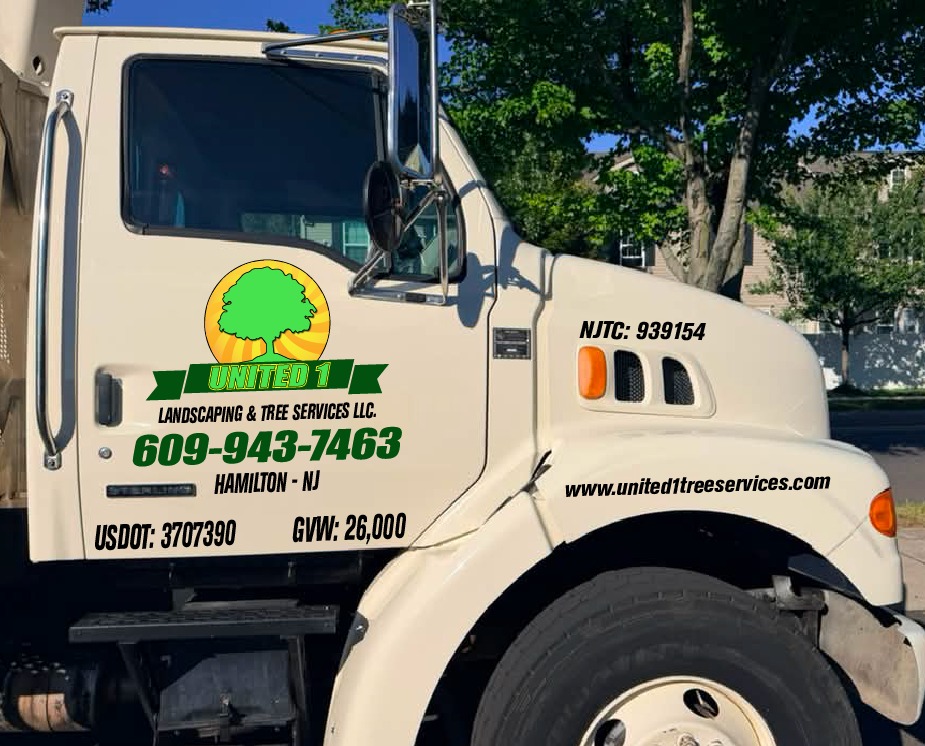 Commercial Truck · United 1 Tree Services Lettering & USDOT
