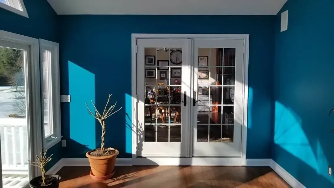 Room with teal walls, white French doors, a plant, and sunlight.