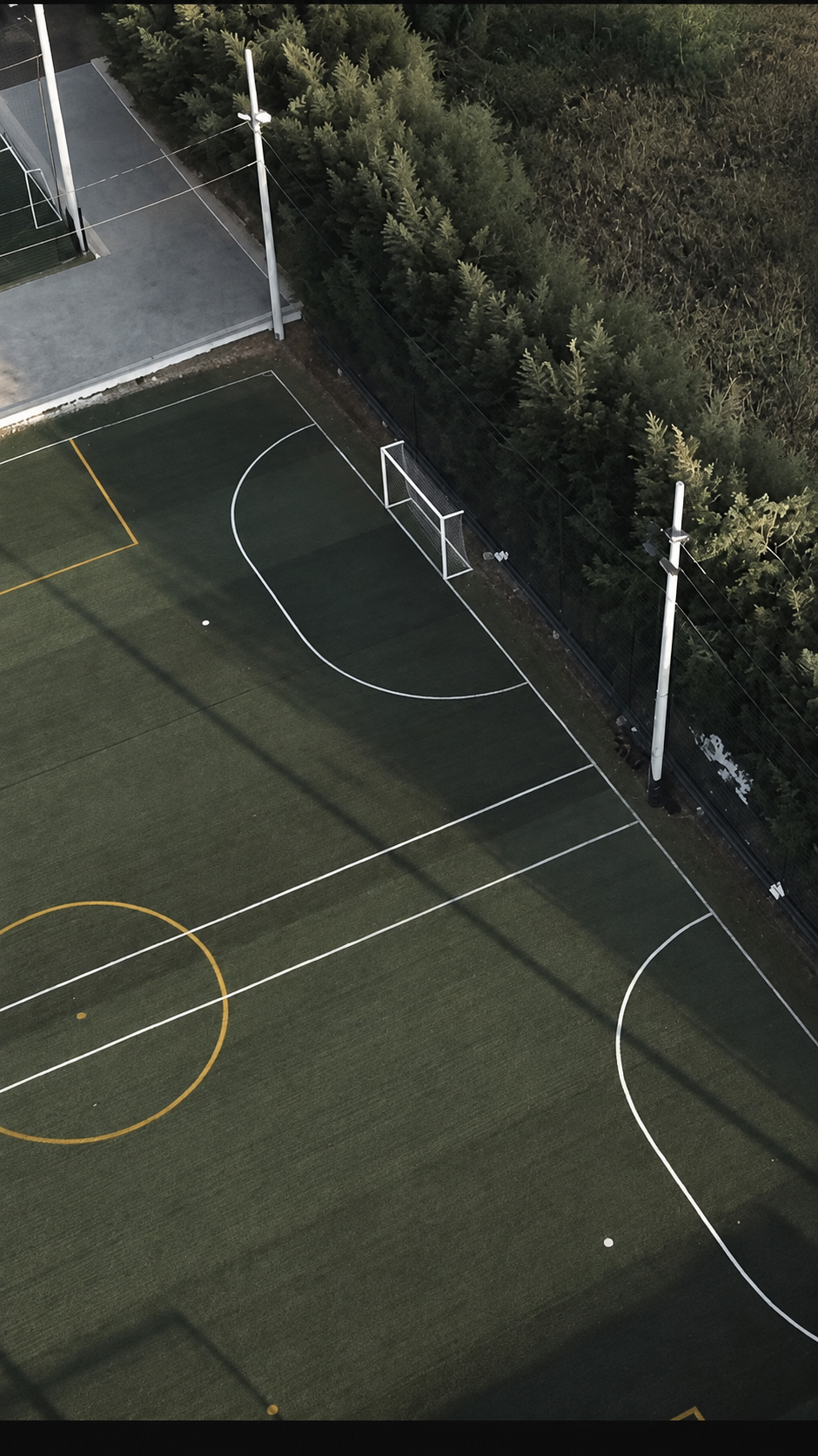 Vista aérea de las canchas