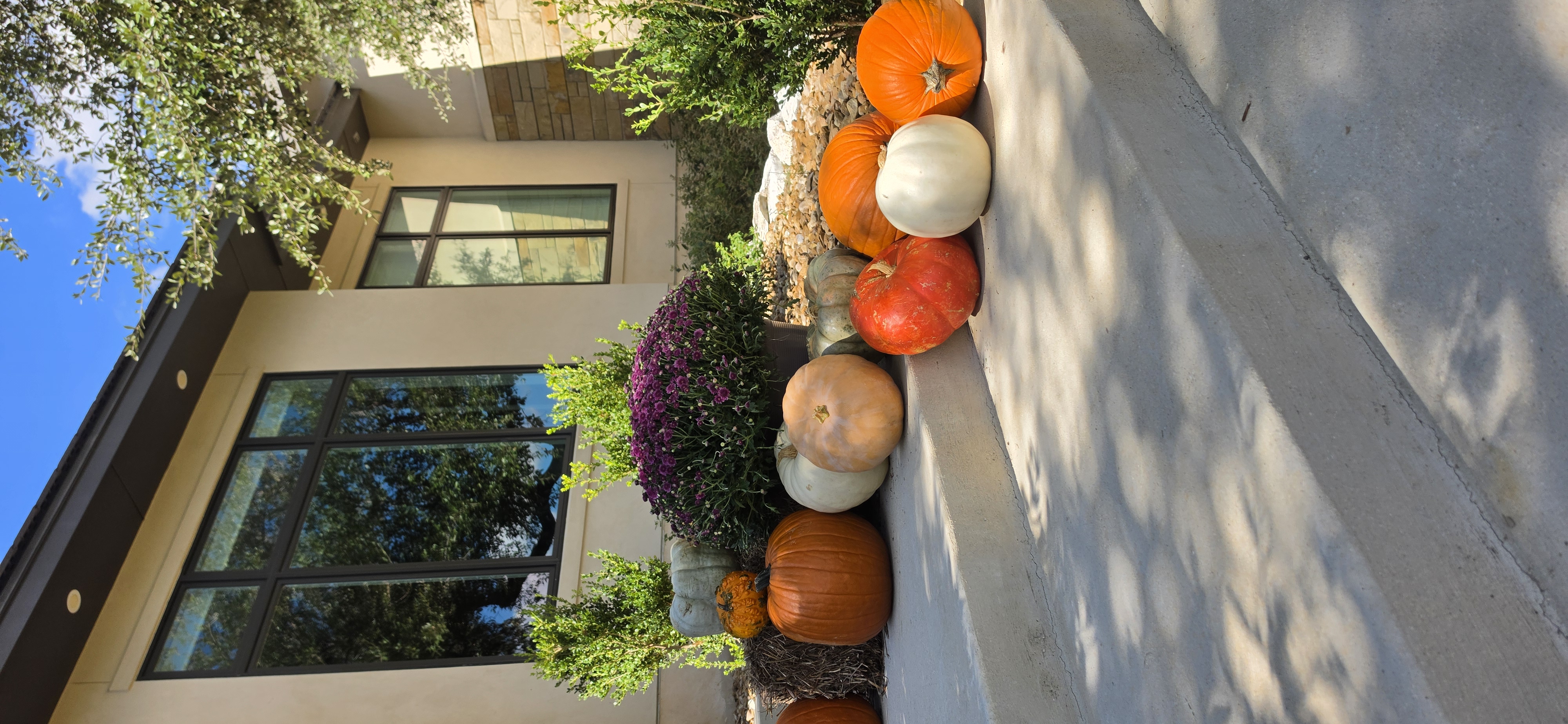 San Antonio estate entrance decorated with heirloom pumpkins, urn planters, and cornstalks