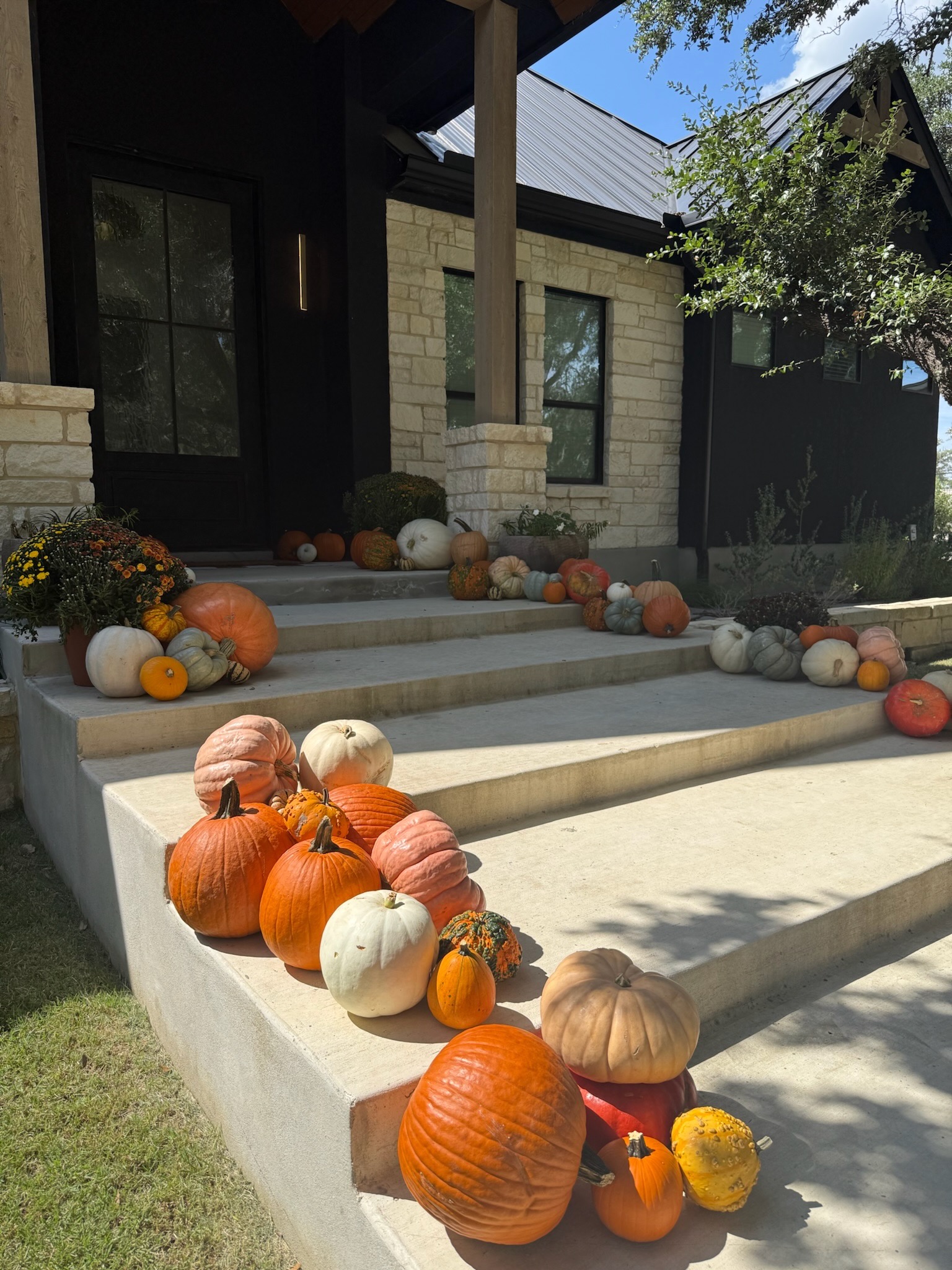 Modern Texas limestone home with wide concrete steps overflowing with cascading orange, white, and Cinderella pumpkins and potted fall mums