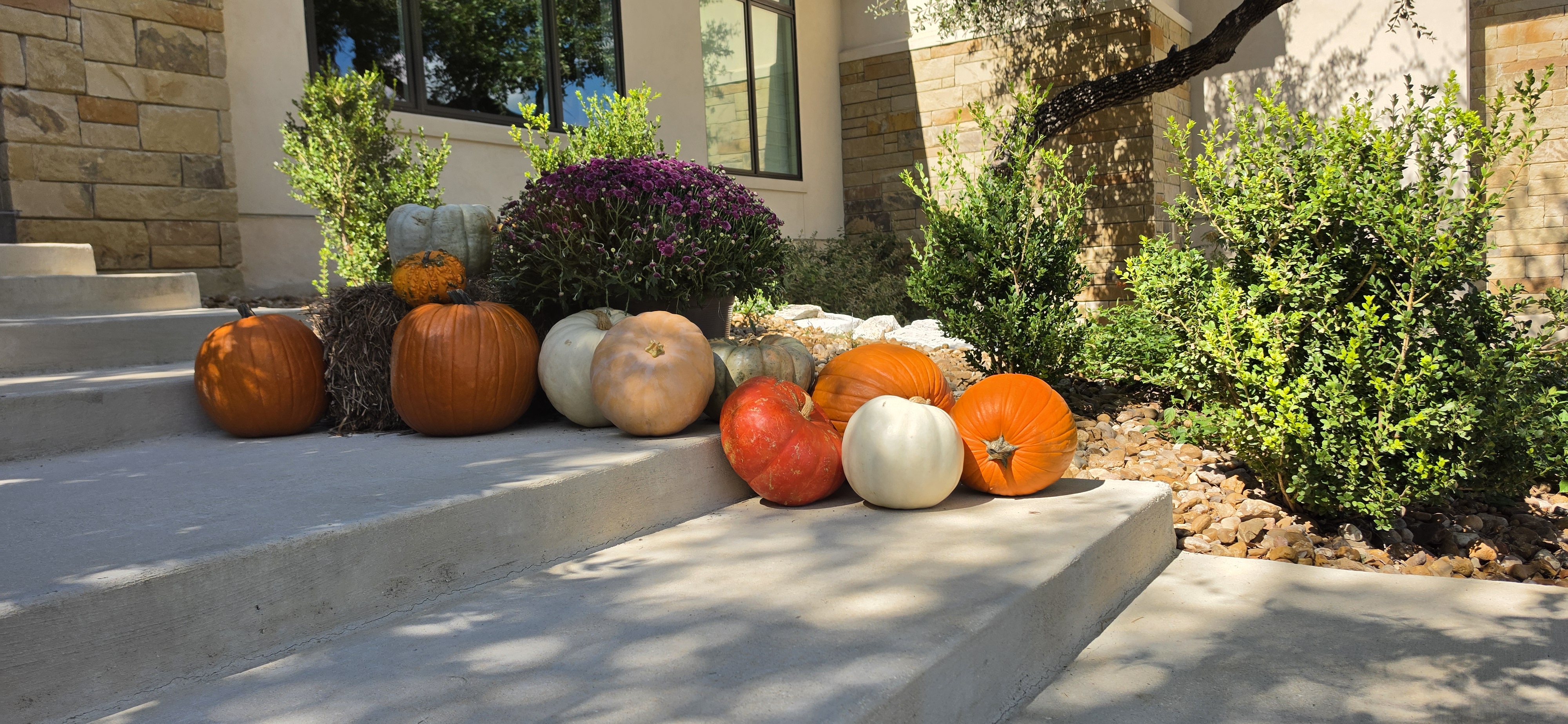 Doorway surround with lush corn stalks, bespoke door wreath, and warm Texas fall styling