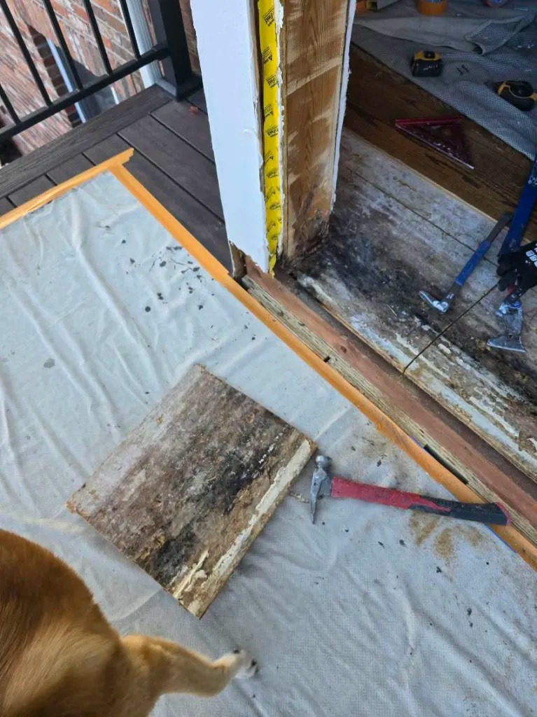 Doorway Framing & Timber Subfloor Remediation