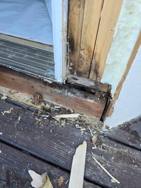 Structural Sill Framing & Exterior Weatherproofing