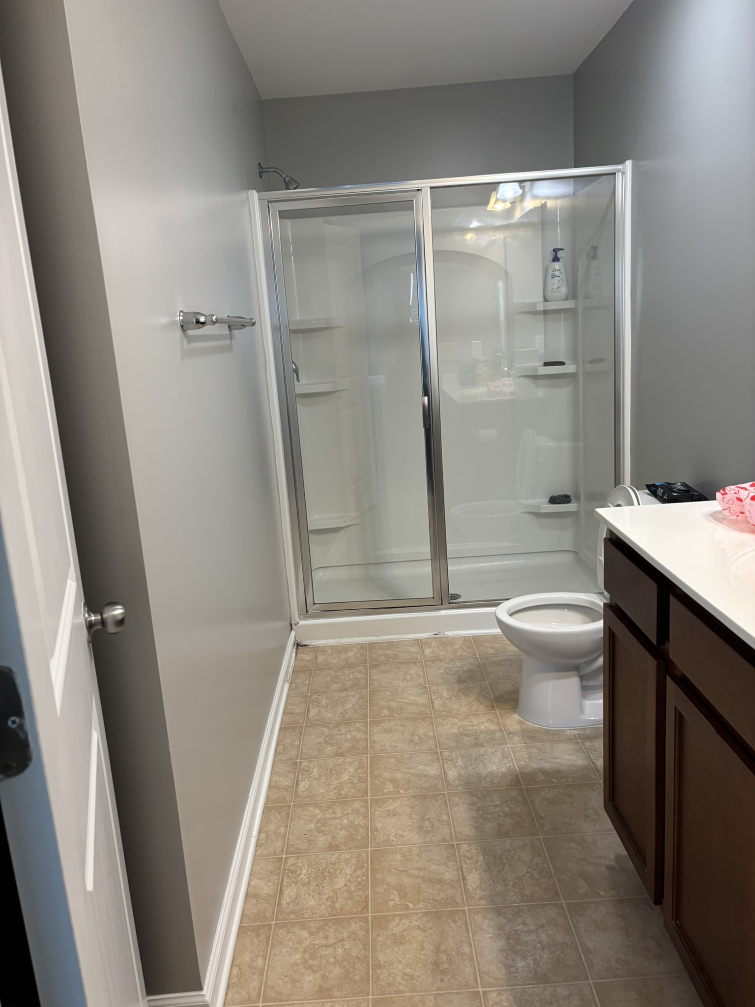 Full Bathroom Walk-In Shower & Dark Wood Vanity
