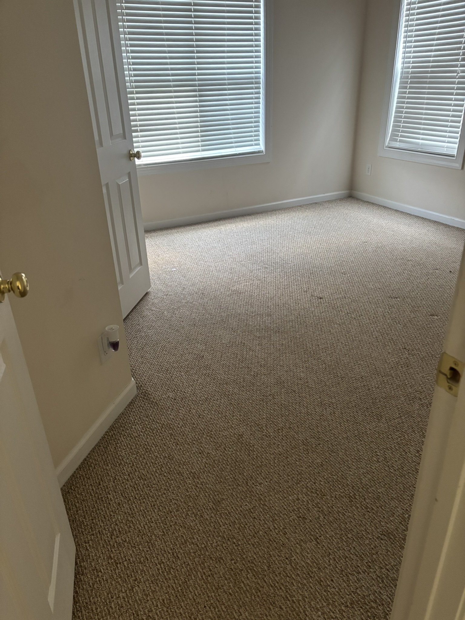 Move-In Ready Bedroom Carpet & Dual Window Blinds