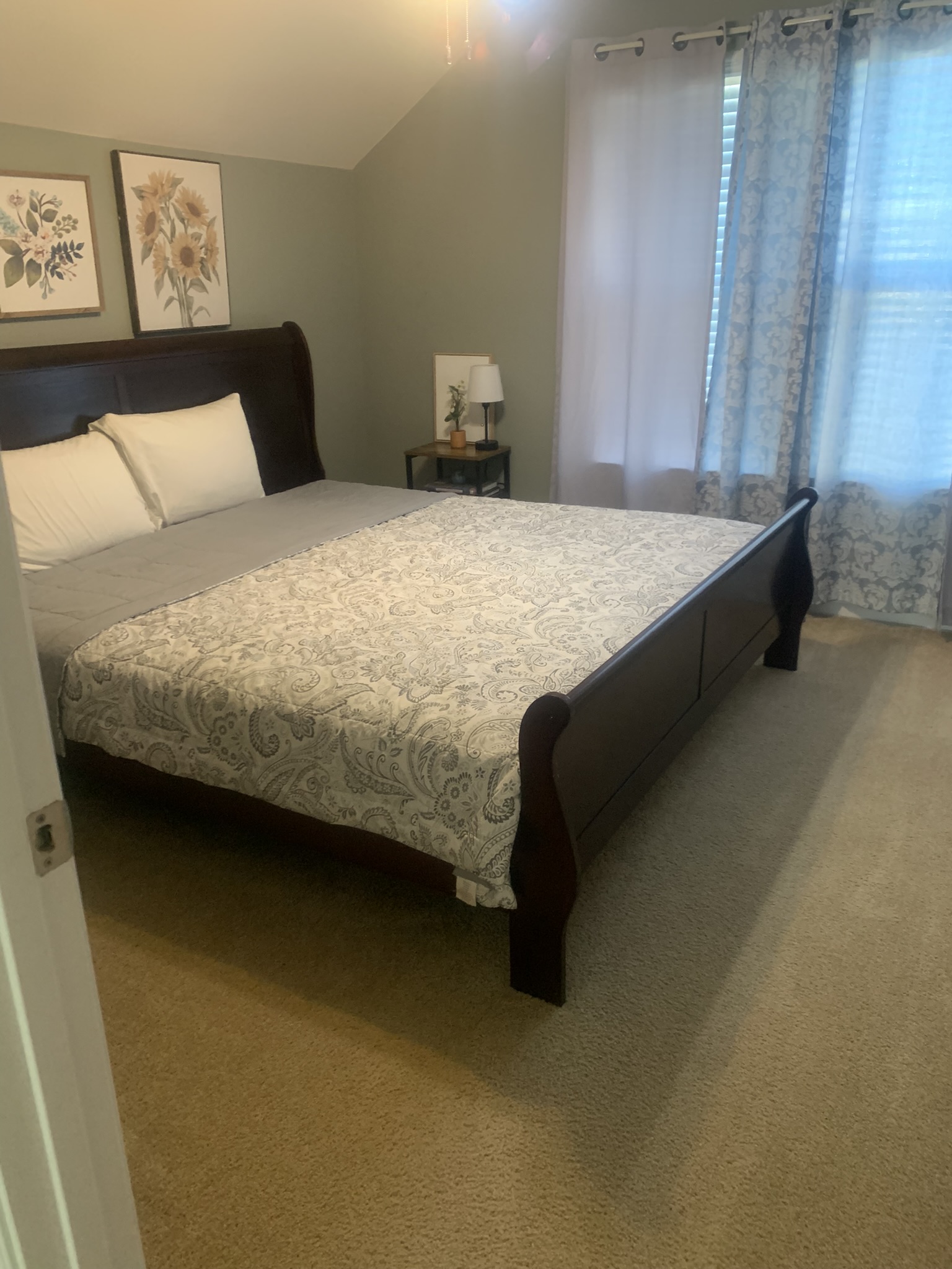 Detailed Master Bedroom Cleaning & Carpet Grooming