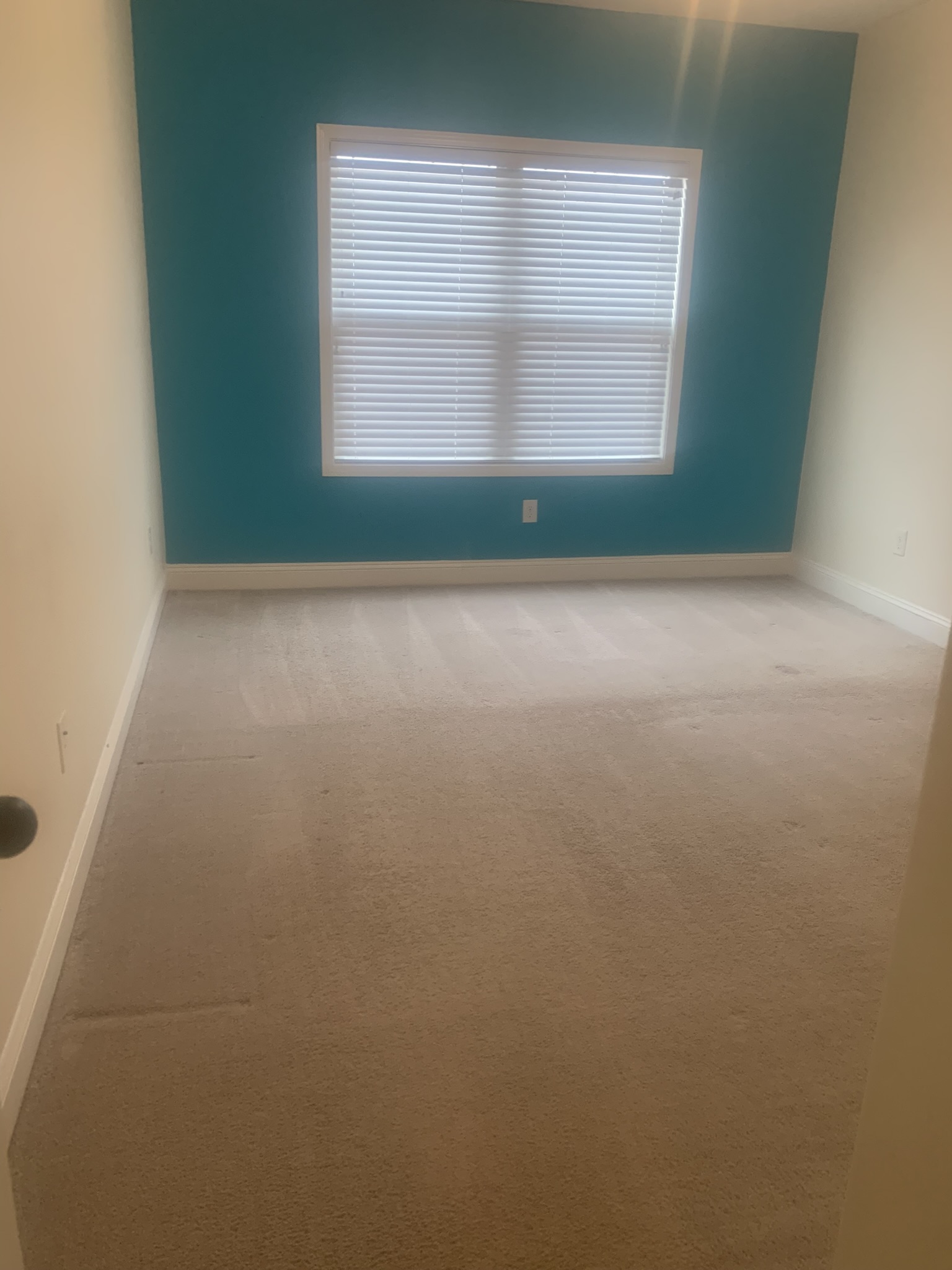 Freshly Vacuumed Bedroom Carpet & Trim Detailing