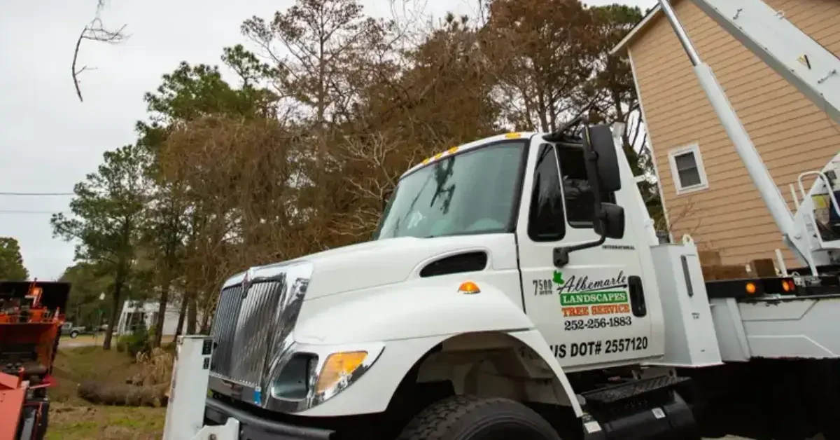 Tree Removal crane service