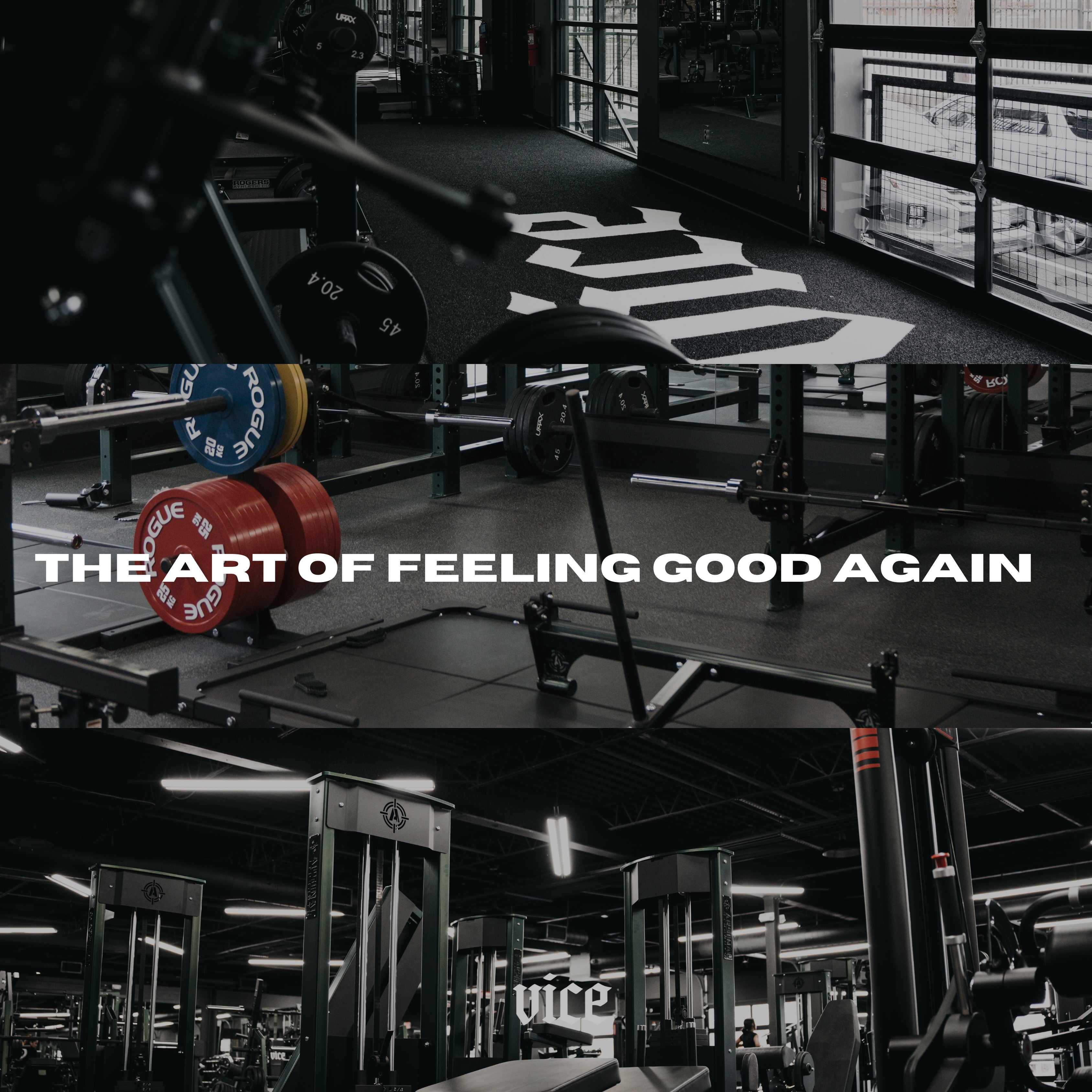 VICE gym training floor and equipment - The Art of Feeling Good Again