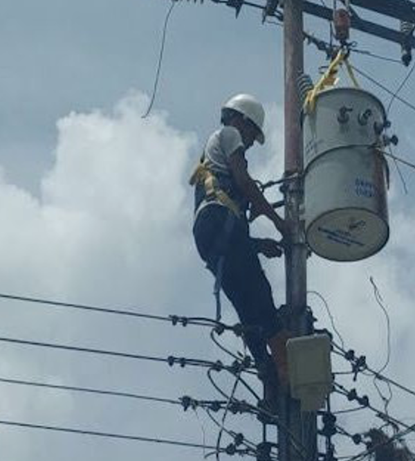 Servicios Eléctricos Integrales