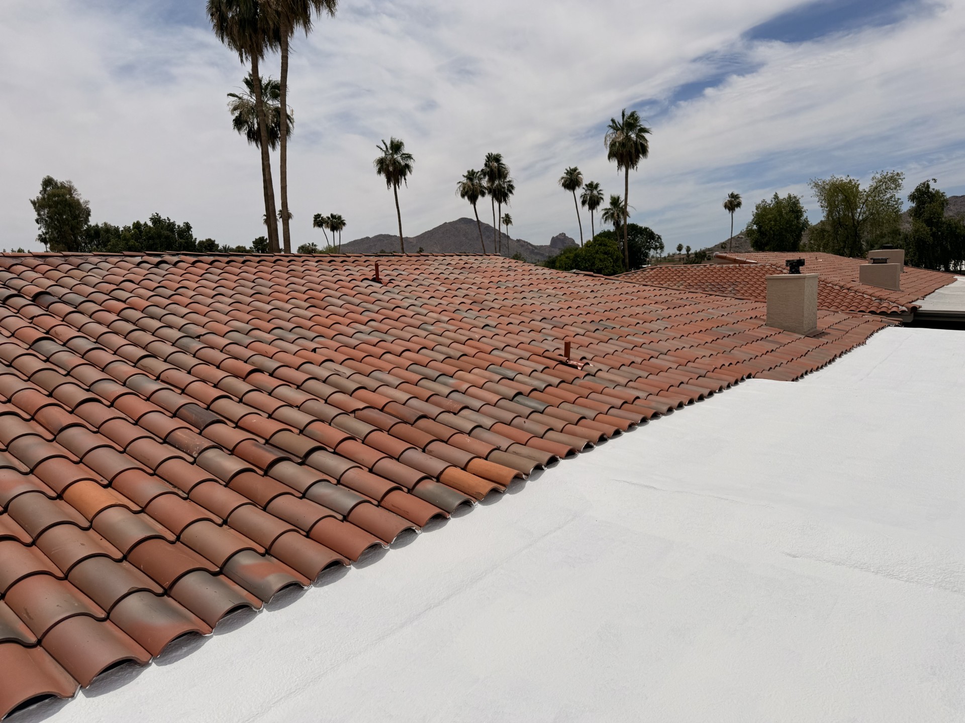 Roof Maintenance in Phoenix, AZ by Lawrence & Sons Roofing