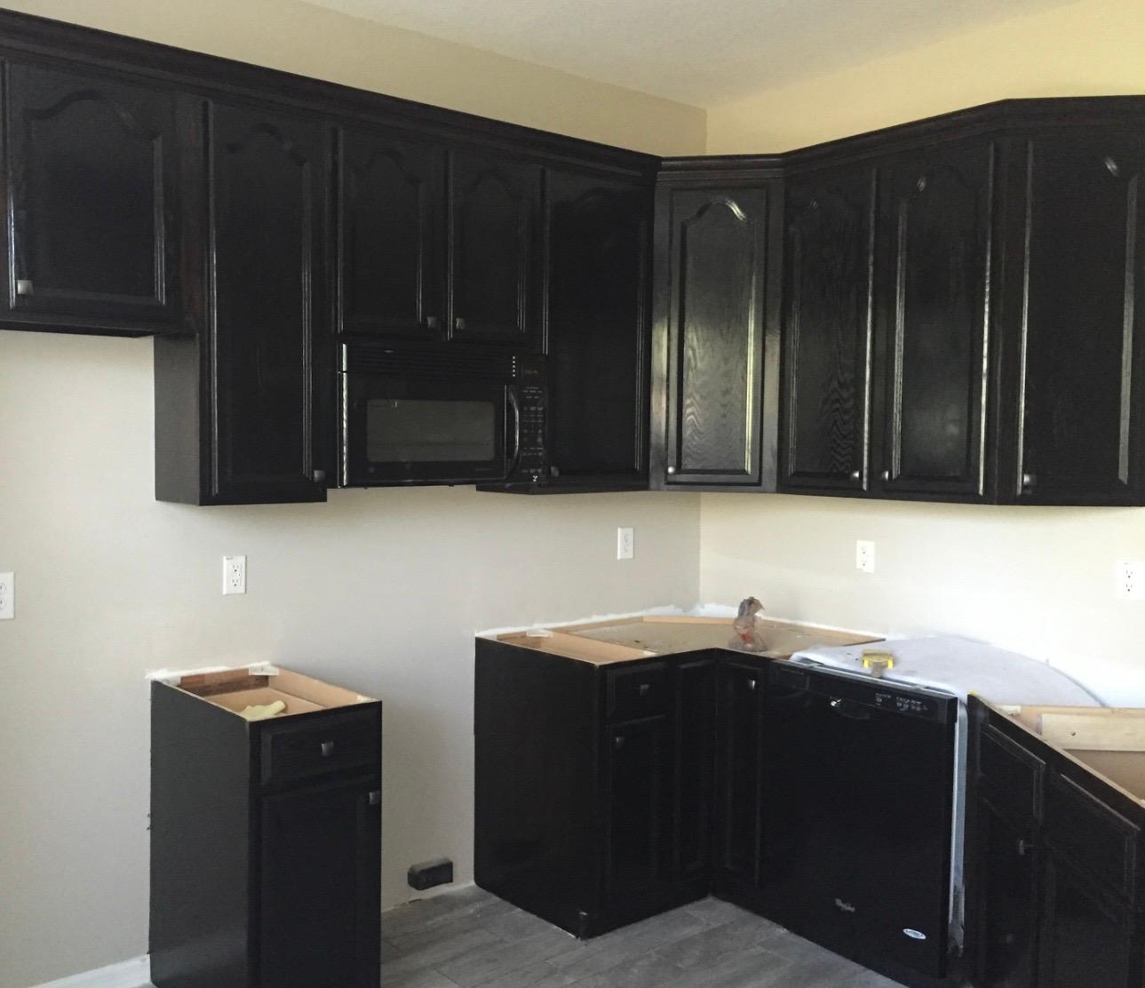Custom kitchen cabinets spray-finished in rich espresso satin black in Land O' Lakes FL