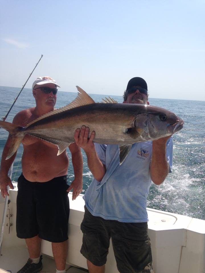 Two anglers holding a large amberjack caught bottom fishing offshore of Biloxi