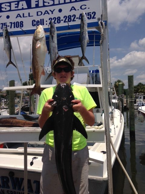 Young angler holding a cobia at the dock with king mackerel and redfish hanging behind