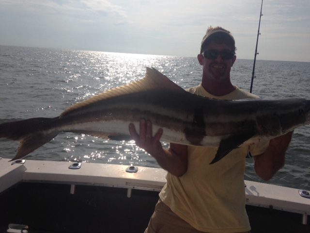 Angler holding a cobia caught while trolling offshore of Biloxi, MS