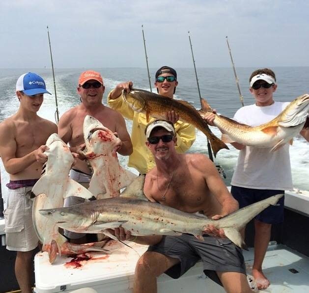 Anglers with sharks and bull redfish on an 8-hour full-day fishing charter out of Biloxi