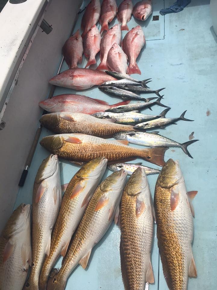 Mixed catch of red snapper, redfish and Spanish mackerel on the deck of a Biloxi fishing charter
