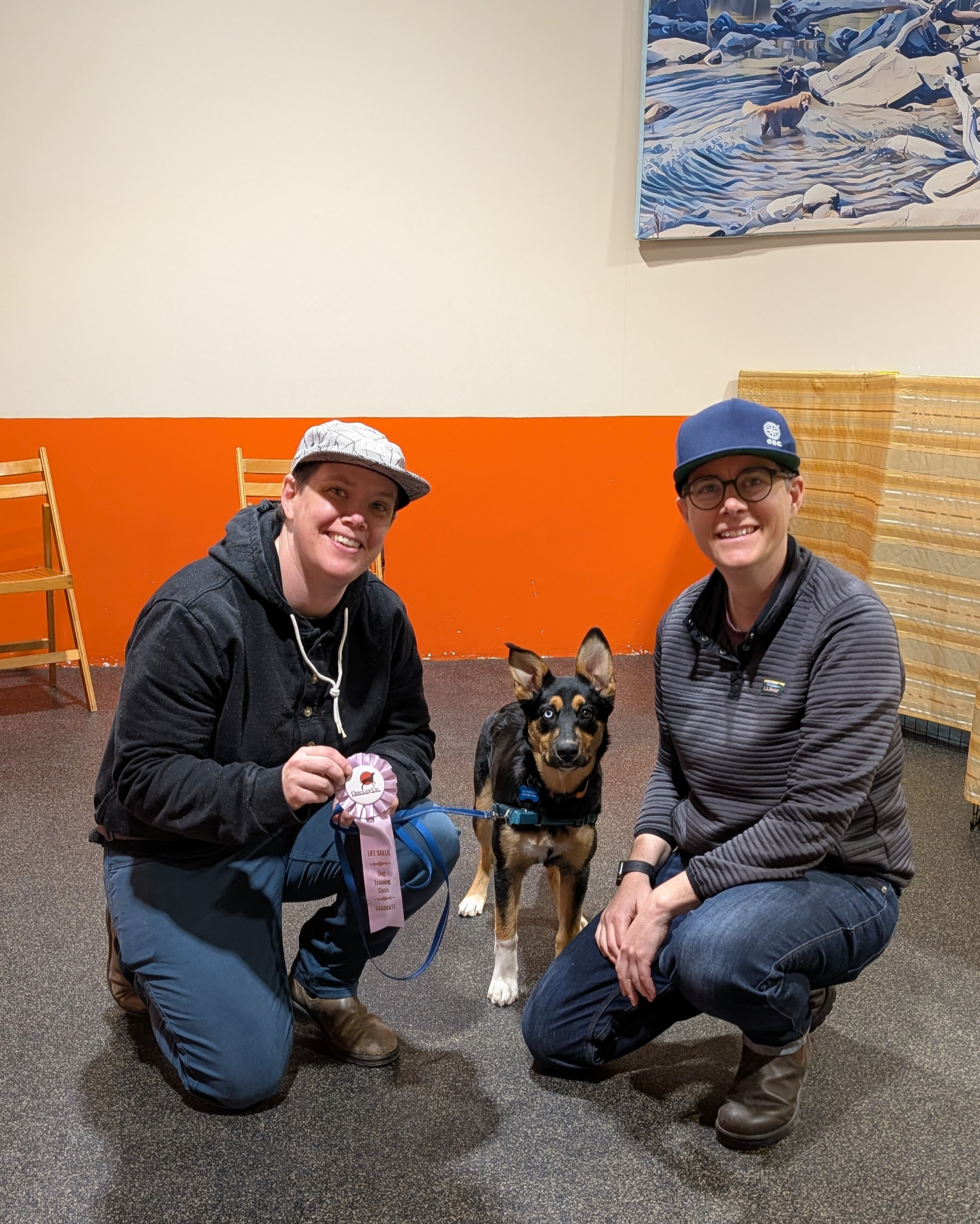 Dog and guardians celebrating graduation with a ribbon