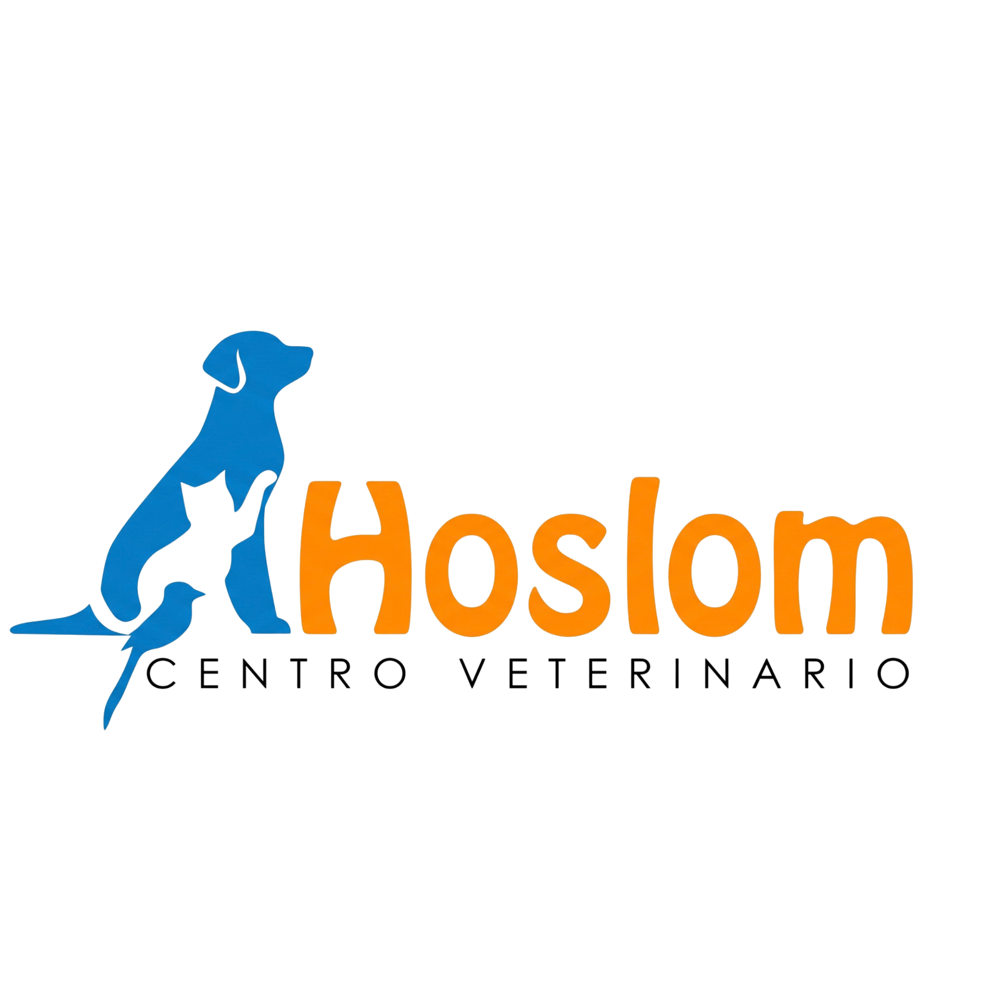 Logotipo oficial Centro Veterinario HosLom