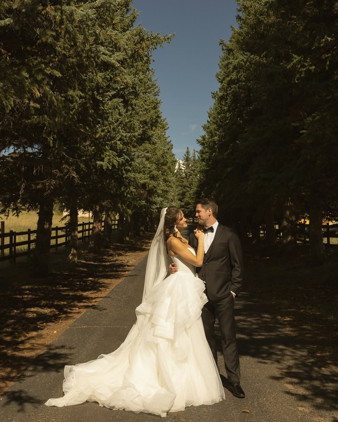 Bride and groom embracing on a tree-lined driveway surrounded by towering pines