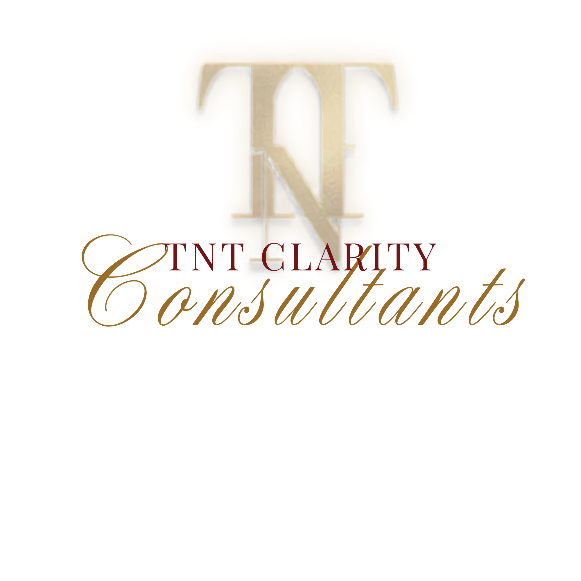 TNT Clarity Consultants LLC