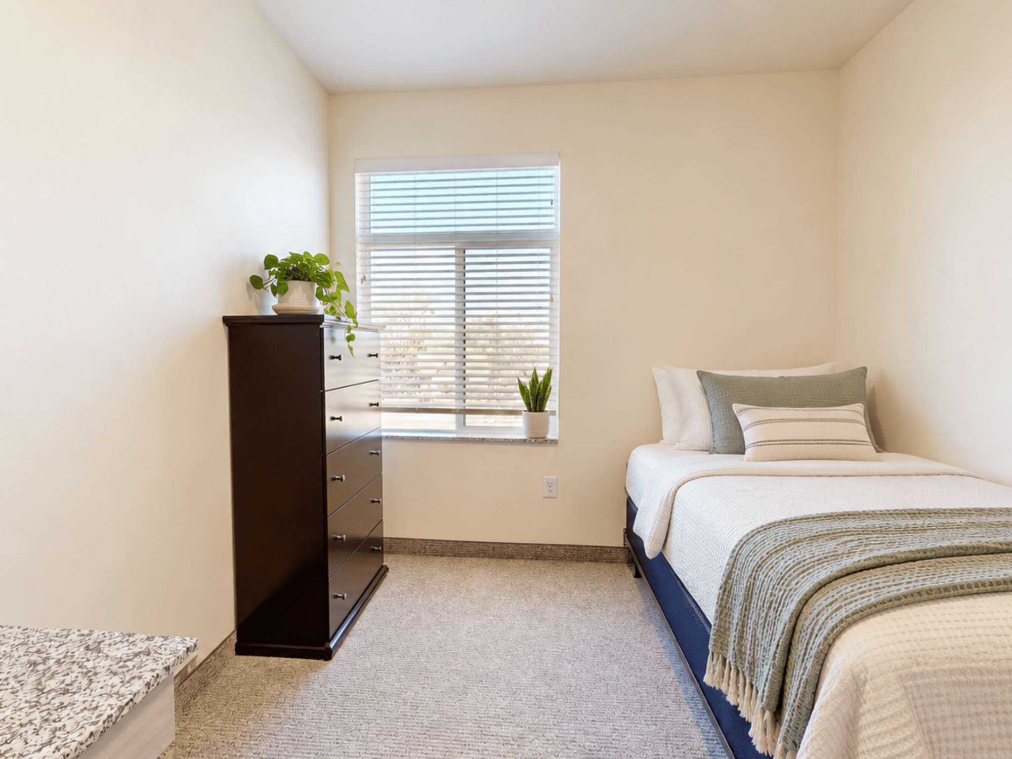 Bright residential bedroom with plush carpeting, natural window light, dark wood dresser, and minimalist furnishings