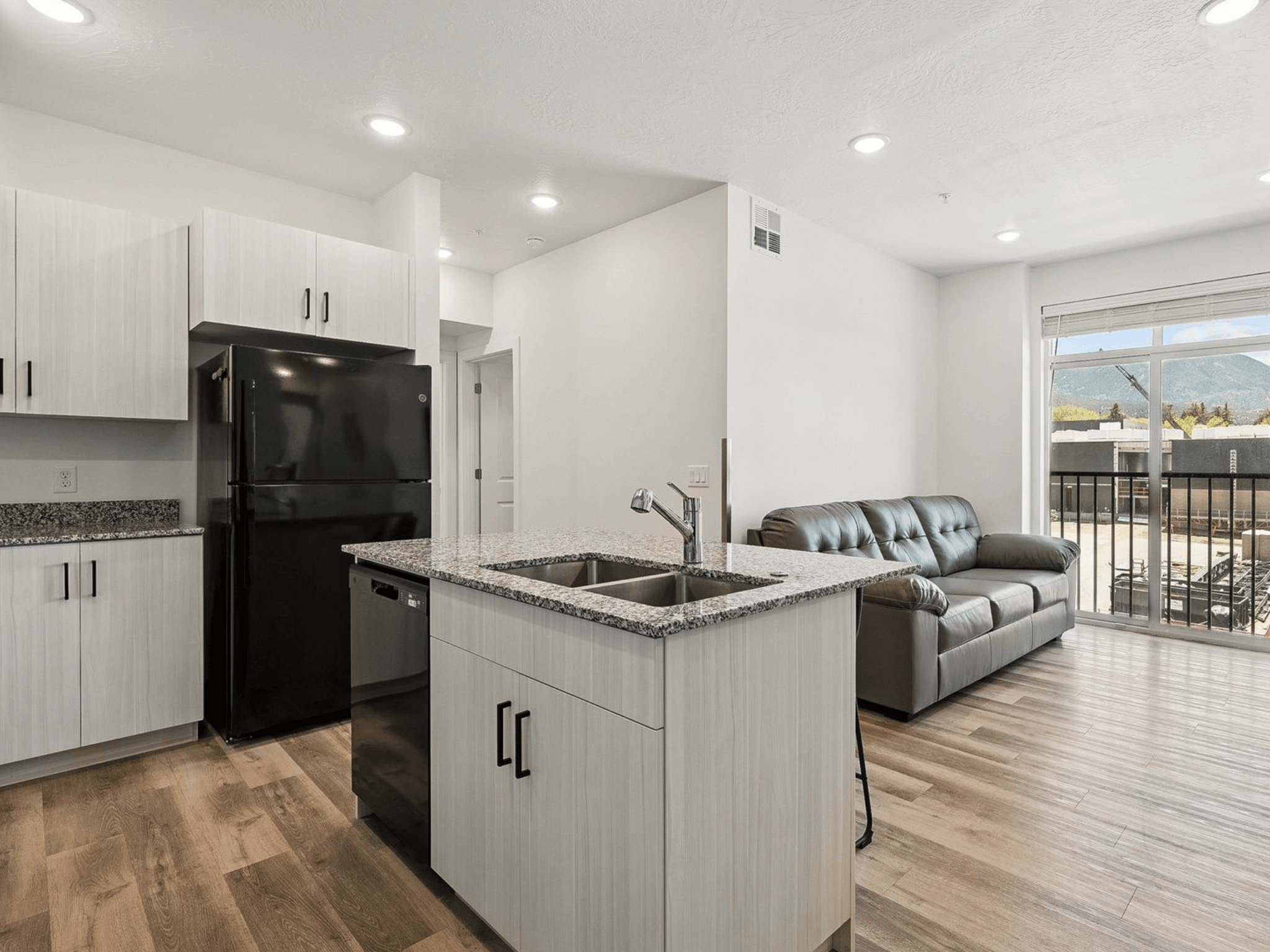 Open-concept student apartment kitchen and living area with wood-style flooring and sofa