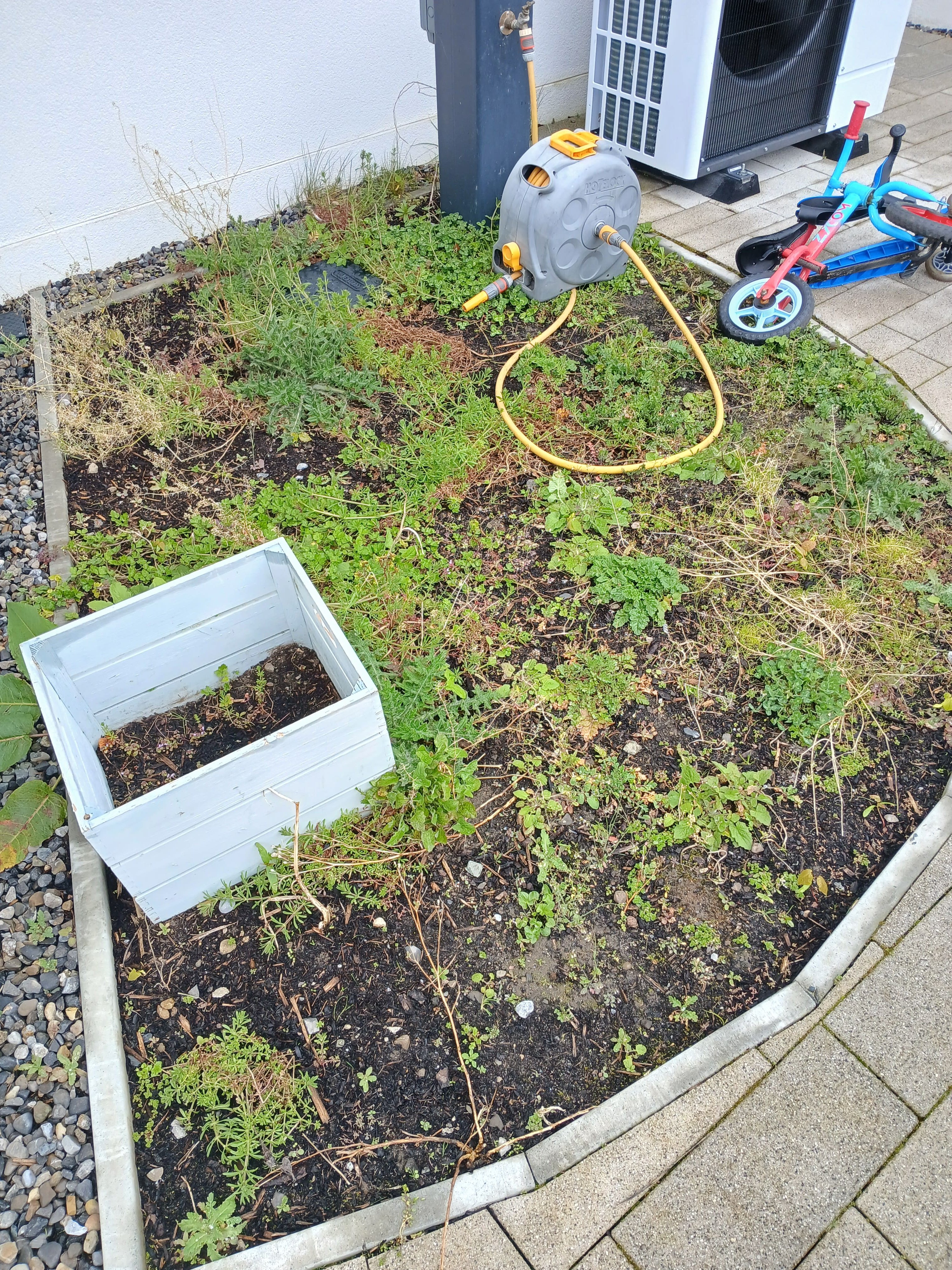 Before mulching and planting: curved bed overgrown with weeds, dandelion and couch grass next to heat pump in South Dublin garden.