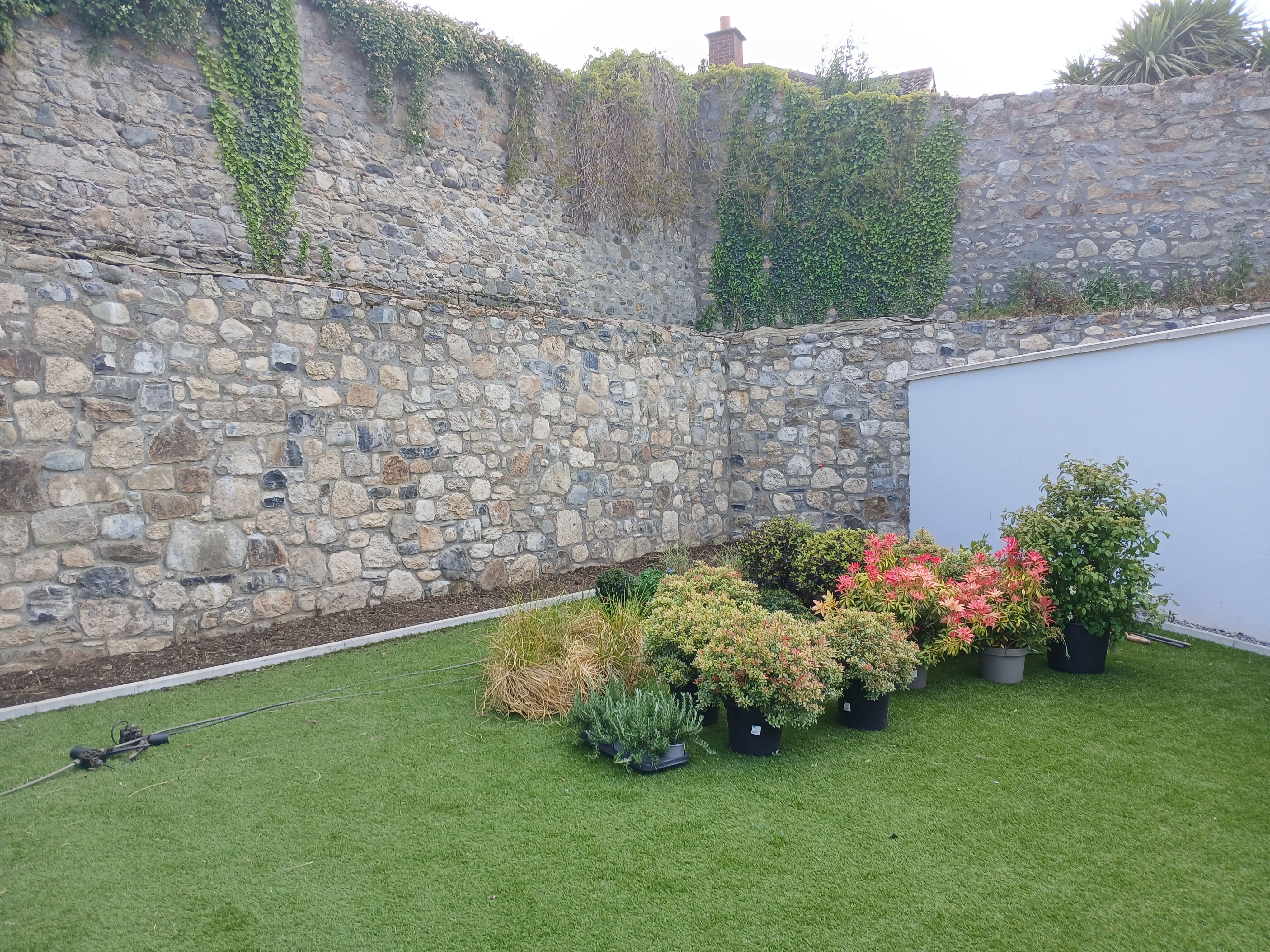 Teagasc-qualified planting layout: specimen Pieris 'Forest Flame', ornamental grasses, lavender and shrubs staged before planting along a historic granite wall.