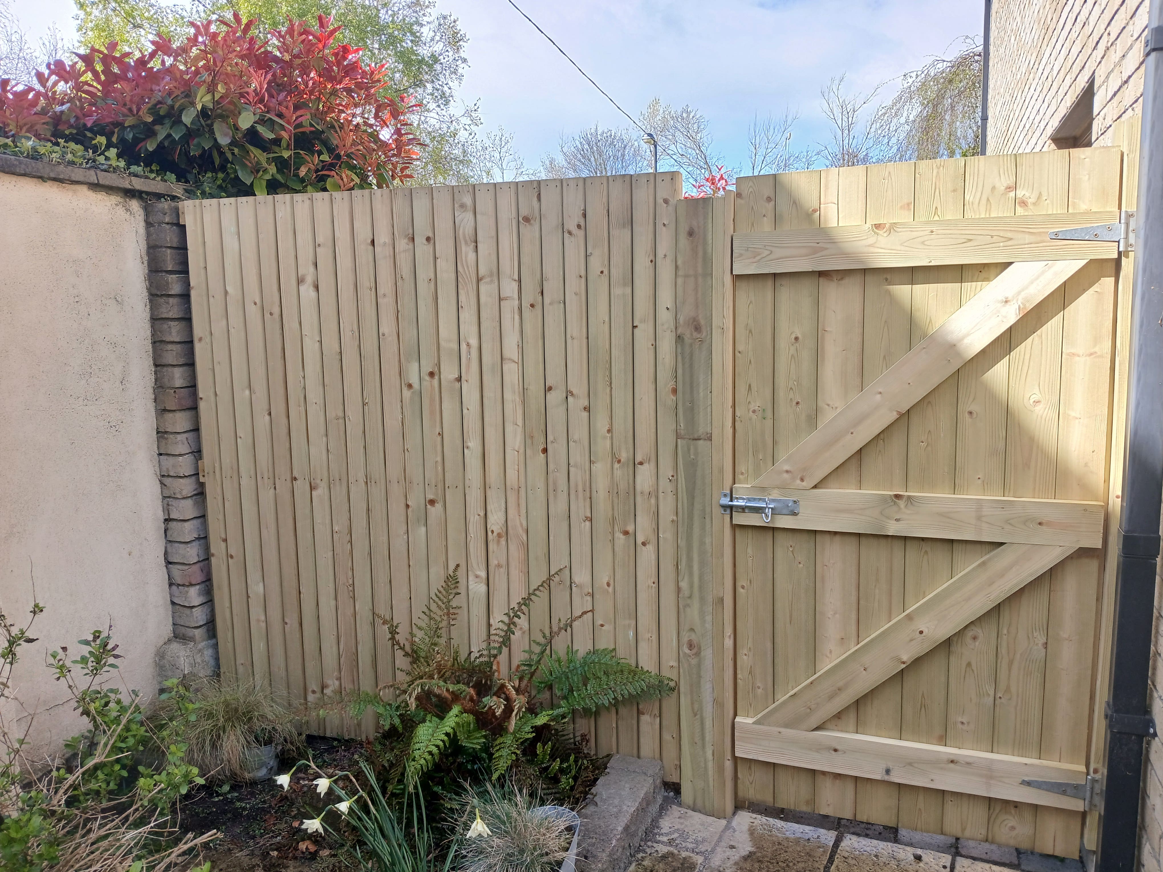 Rear view showing heavy Z-bracing, galvanized hinges and shoot bolt on the custom timber gate in a Dublin South Side garden.