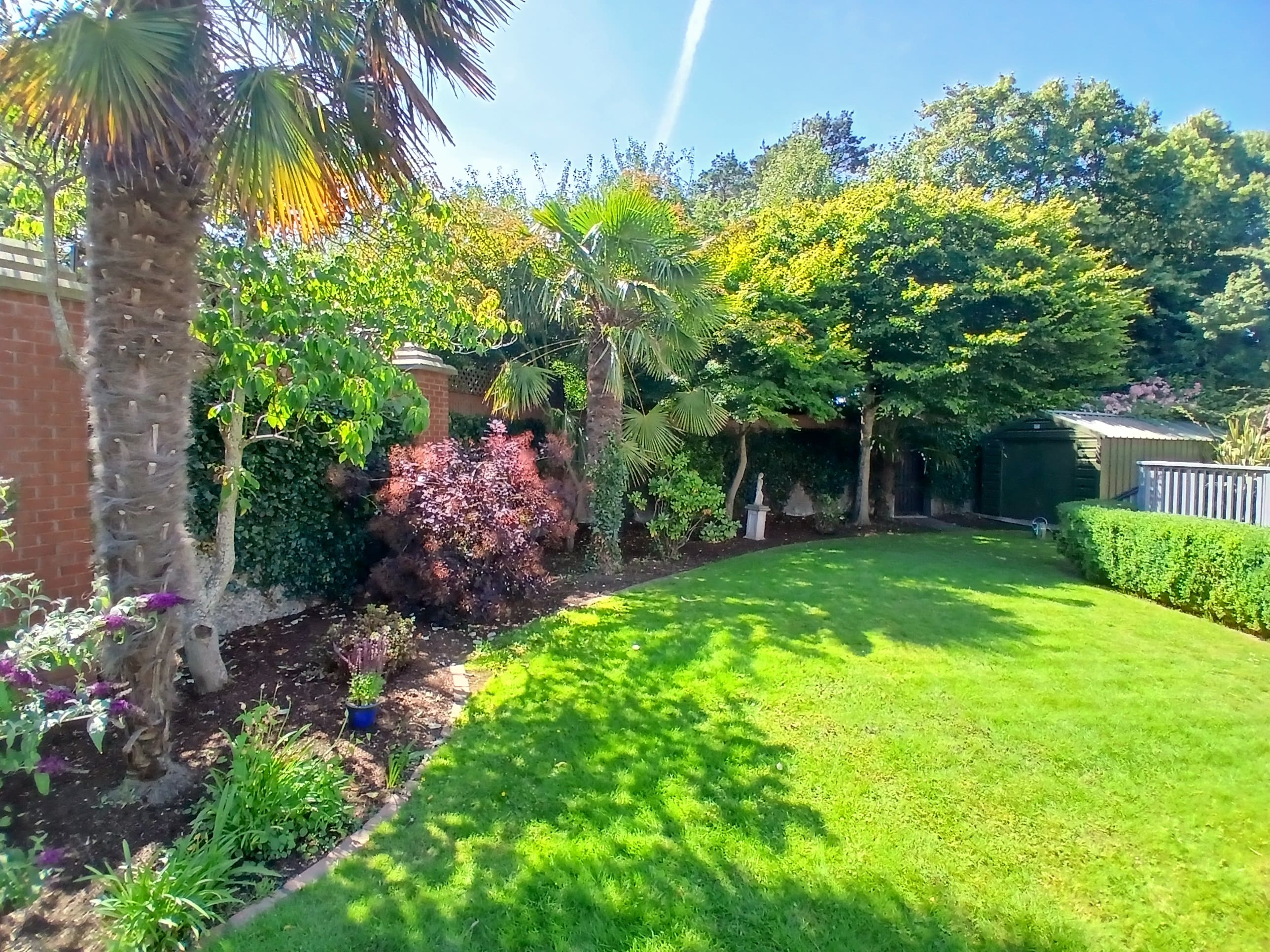 Lush South Dublin residential garden featuring established palm trees, deep curved mulch beds, manicured lawn and brick boundary wall cared for by Daniel O'Byrne.