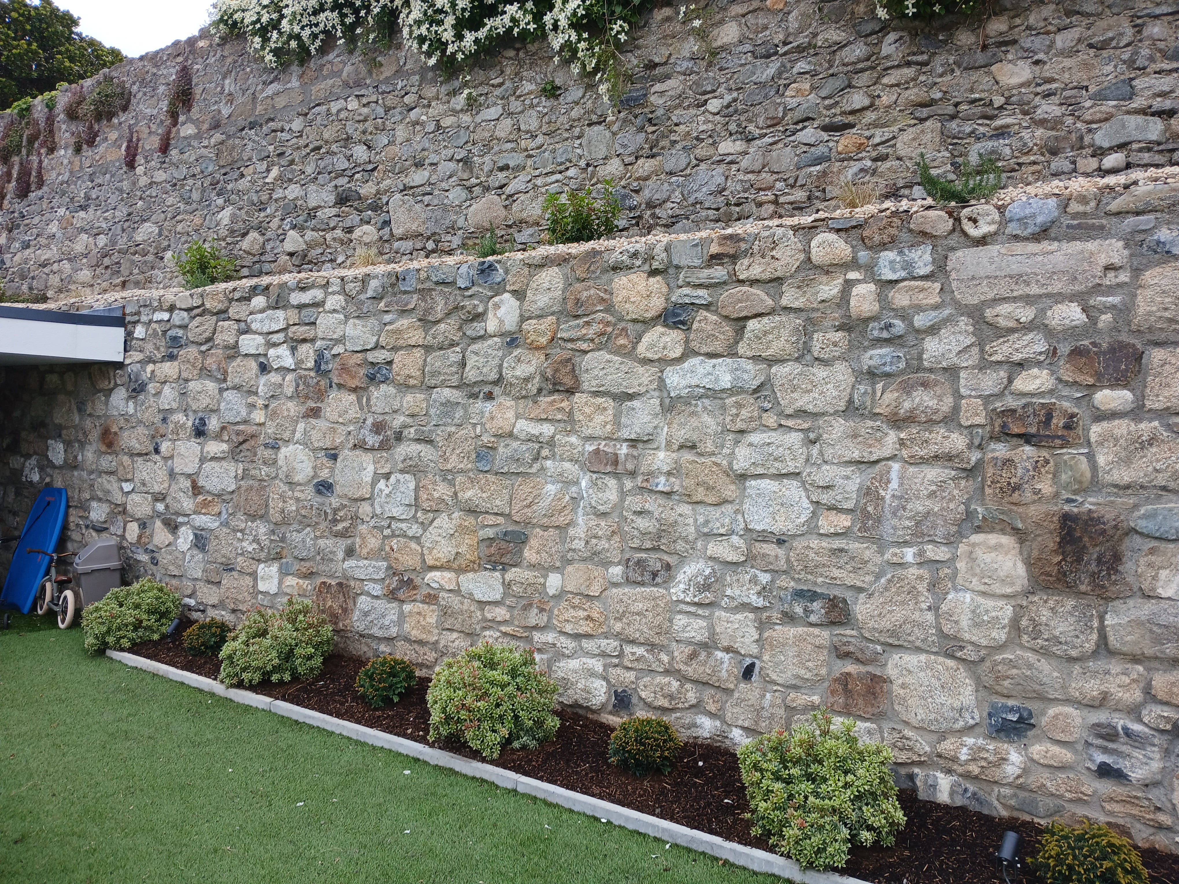 Neat garden border with deep dark organic bark mulch and compact shrubs along an authentic stone wall in Dublin South Side.
