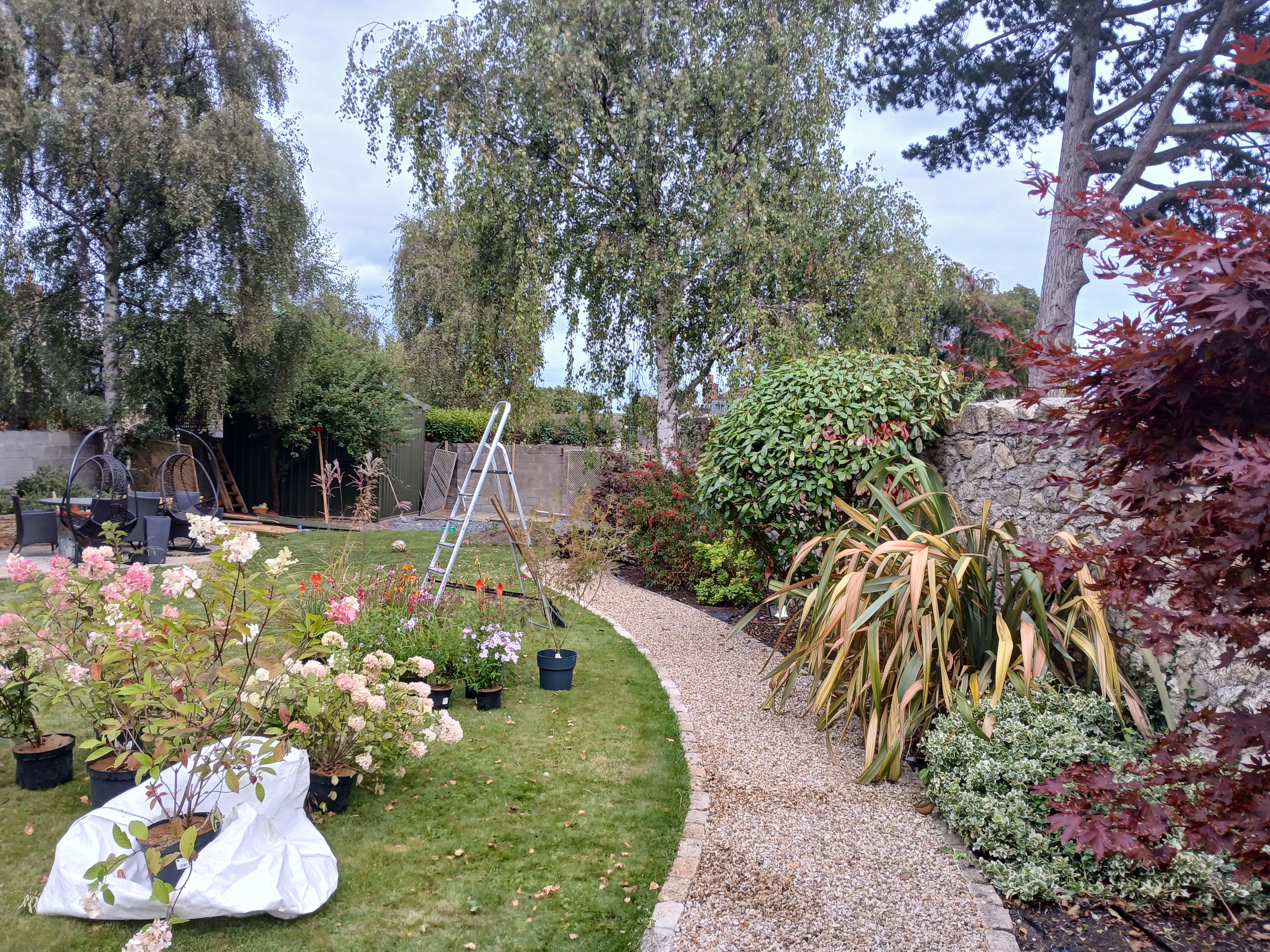 Curved gravel walkway bordered with granite setts alongside potted hydrangeas and phormium in a Dublin South Side garden.