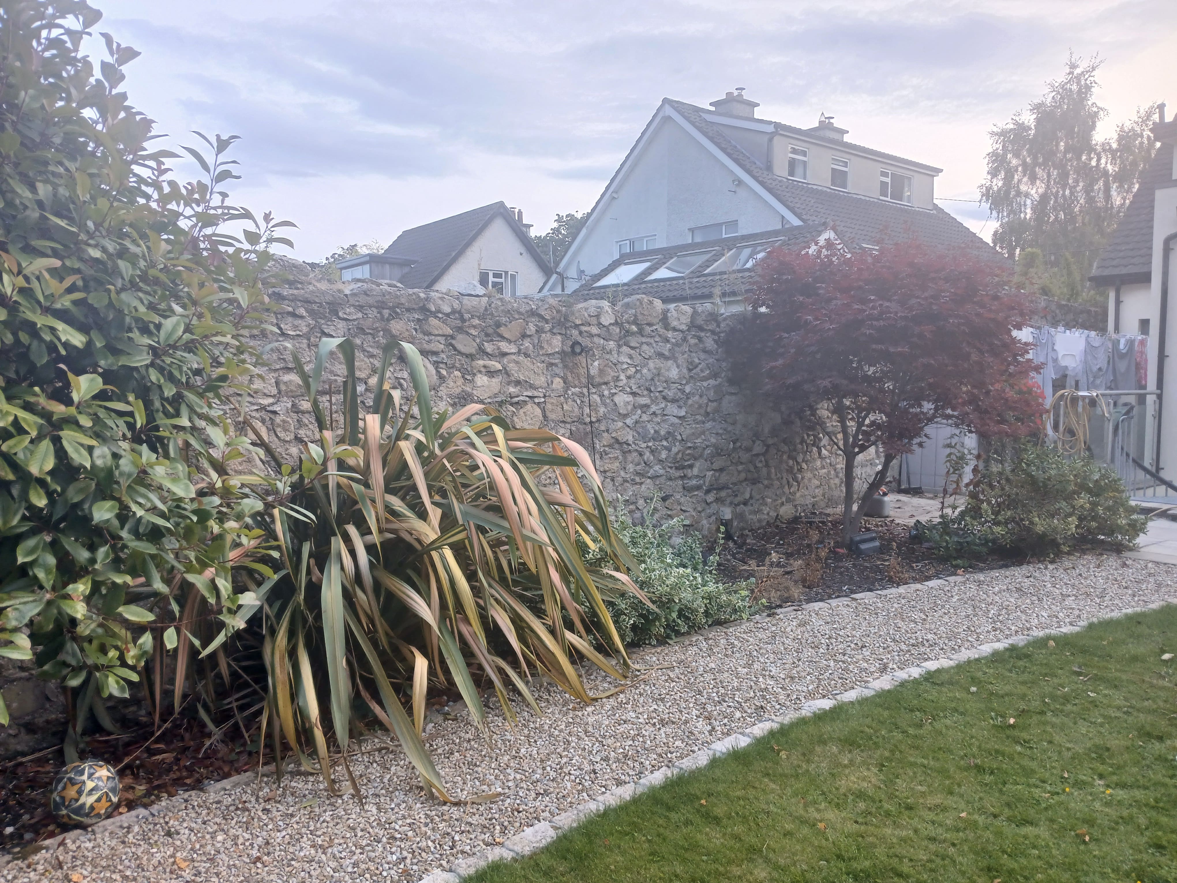 Gravel path flanked by phormium, Japanese maple and granite setts against an authentic Irish stone boundary wall.