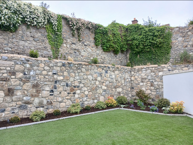 Tiered natural stone boundary wall with flowering clematis, freshly edged lush lawn and mulched shrub borders in a Dublin South Side garden by Daniel O'Byrne.