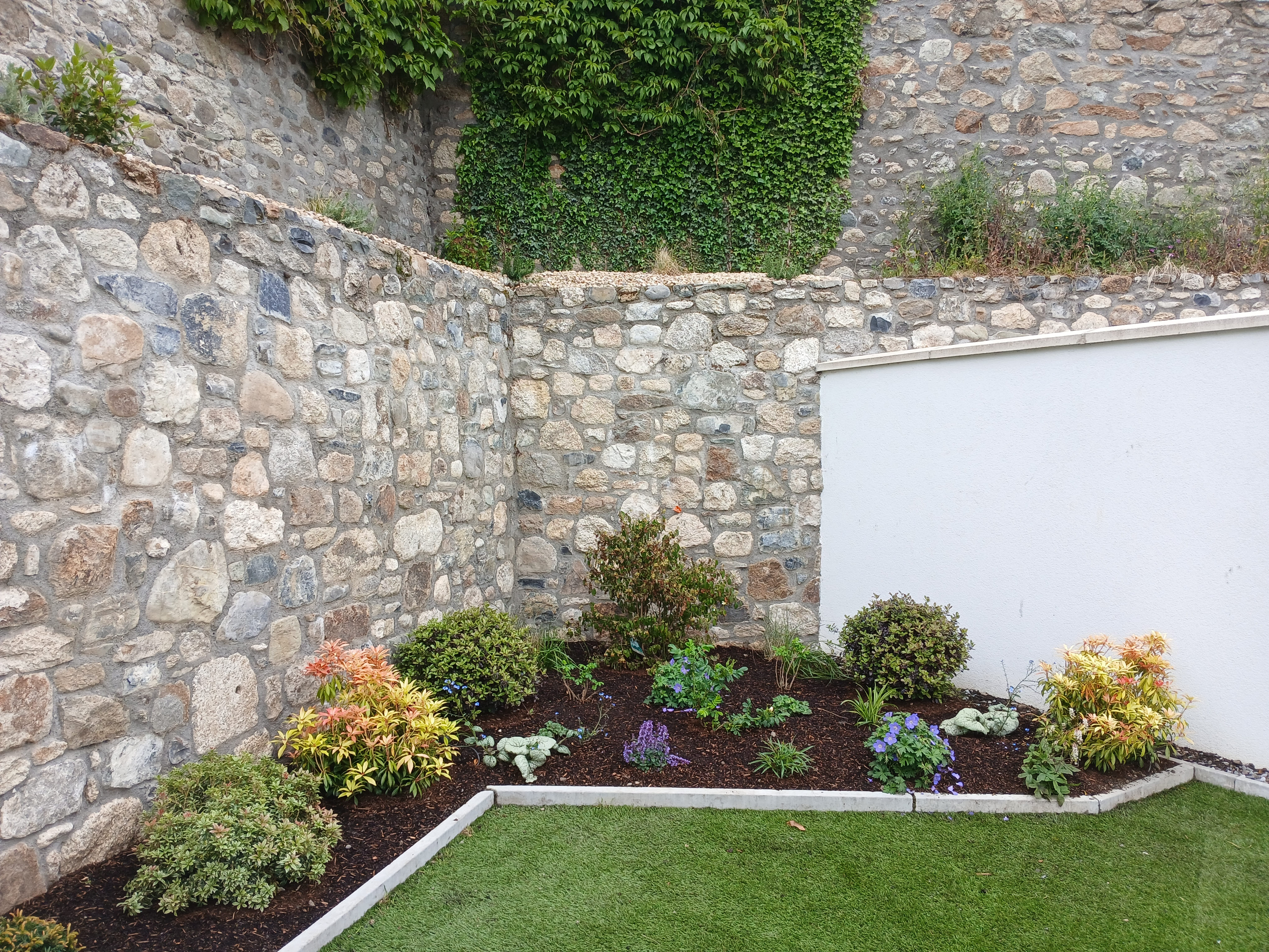 Corner stone wall garden bed showing rich dark mulch setting off vibrant perennials and flowering shrubs in Blackrock, Dublin South Side.