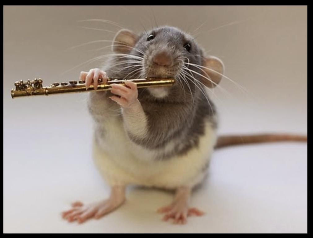 “Can You Tune Up My Horn?” & Other Endearing Fallacies