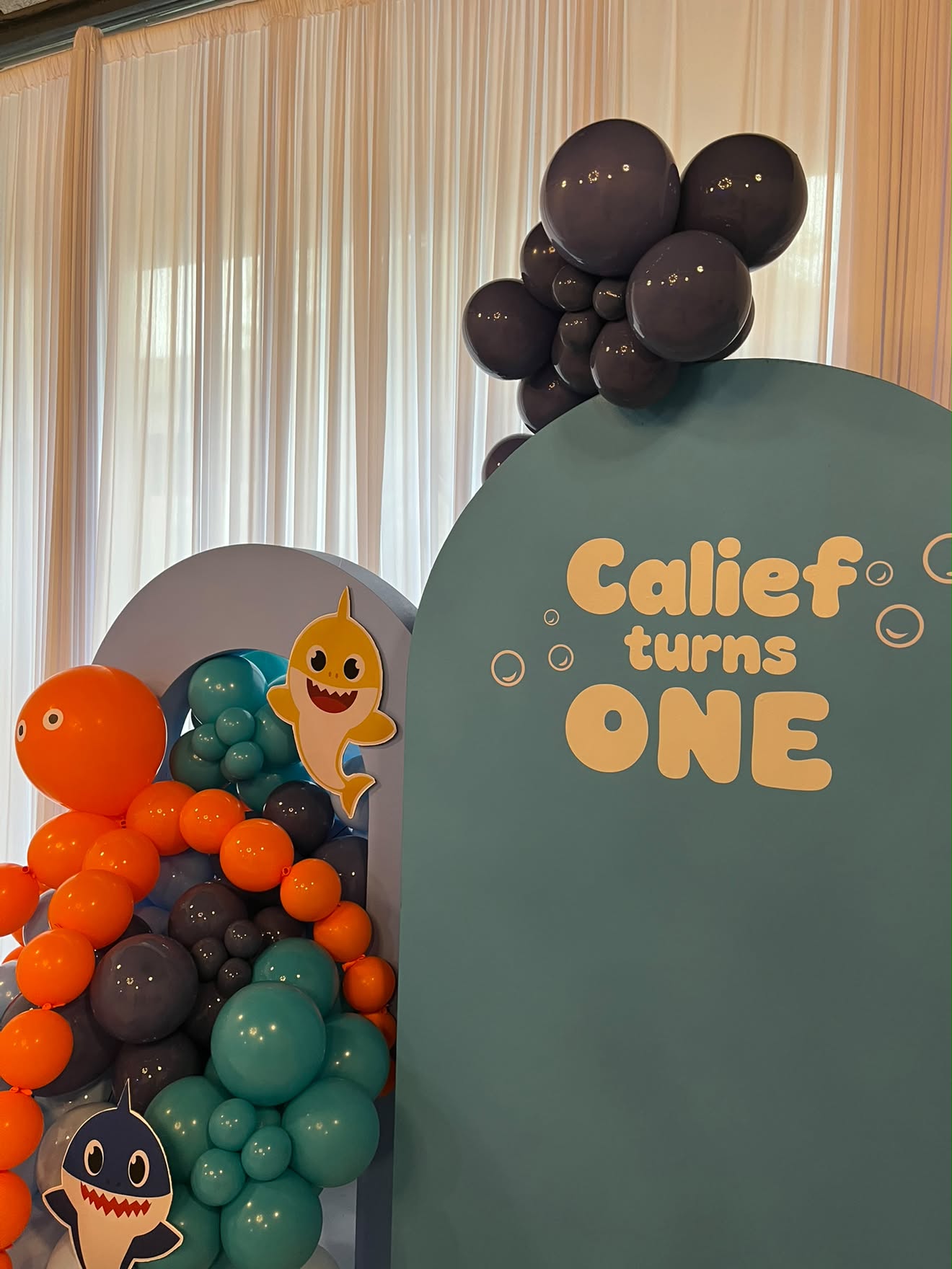 Remember The Night — Organic Balloon Arches