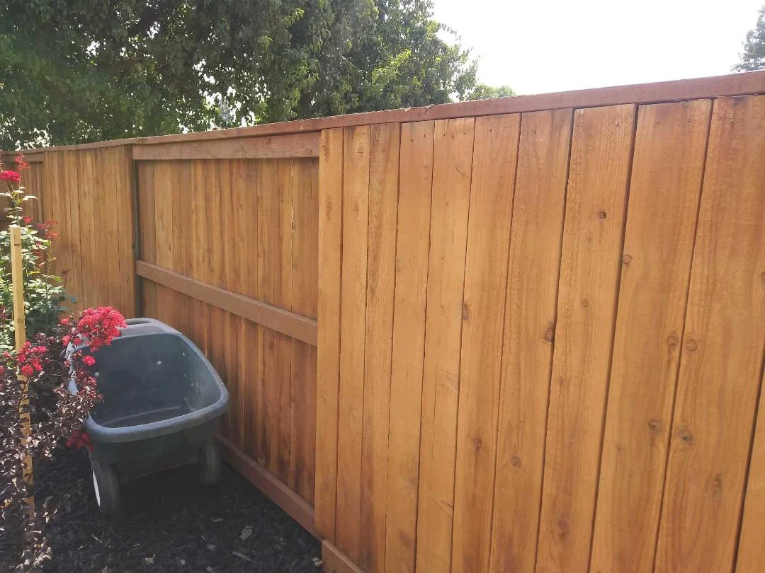 Fence / Deck Painting & Staining