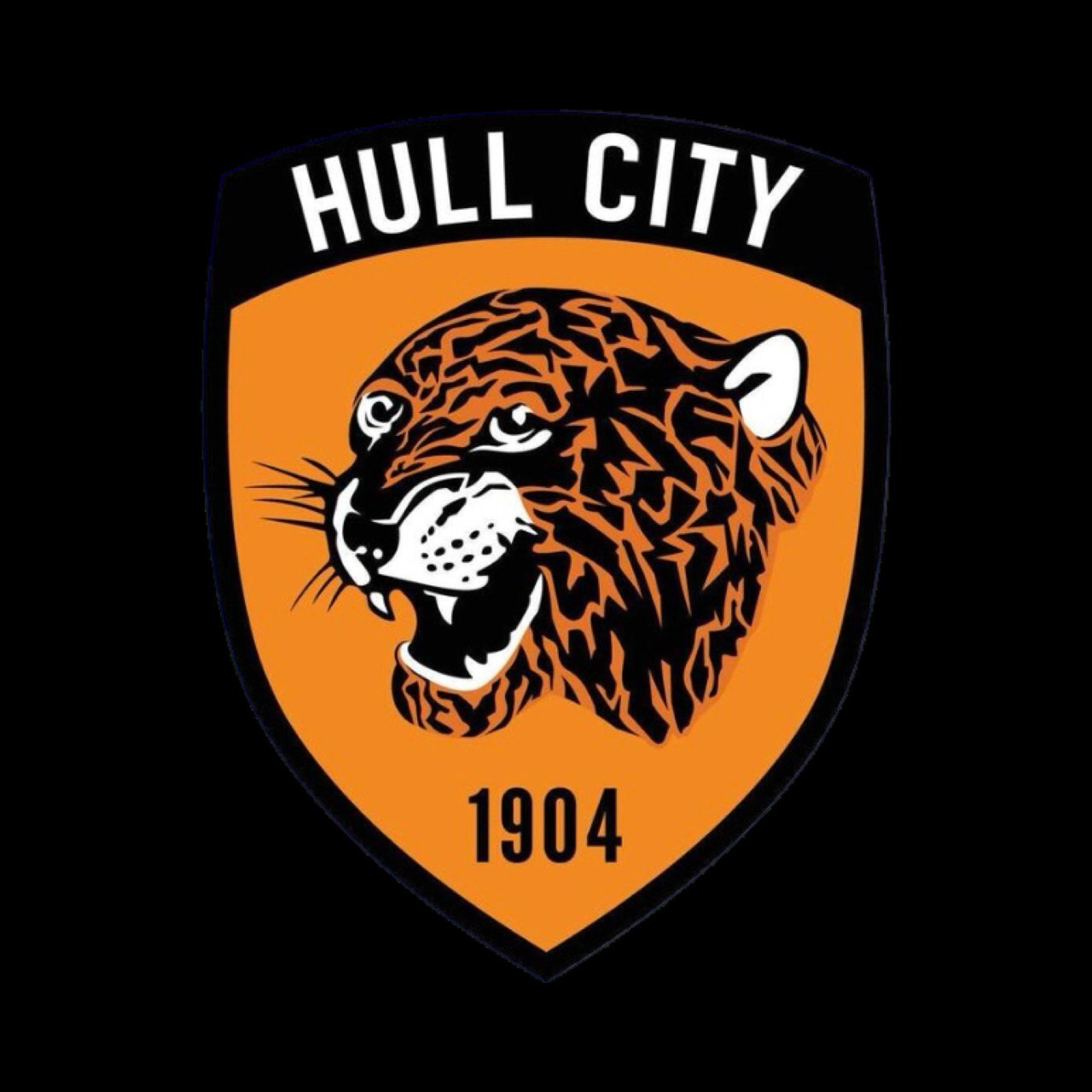 Hull City