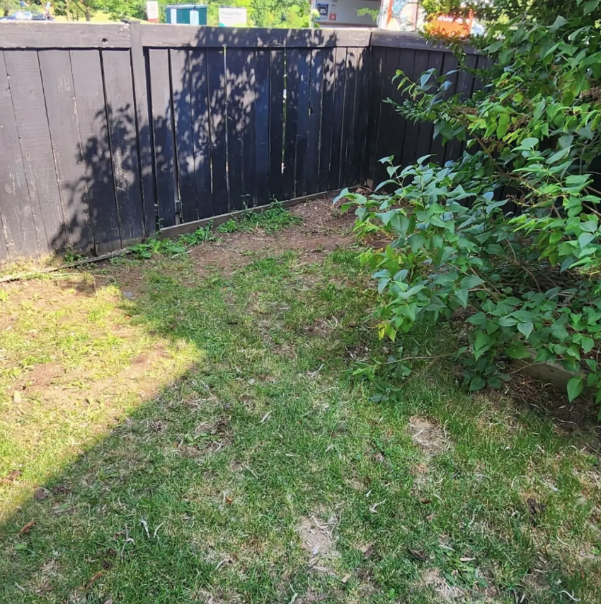 The same backyard clear after cleanup.