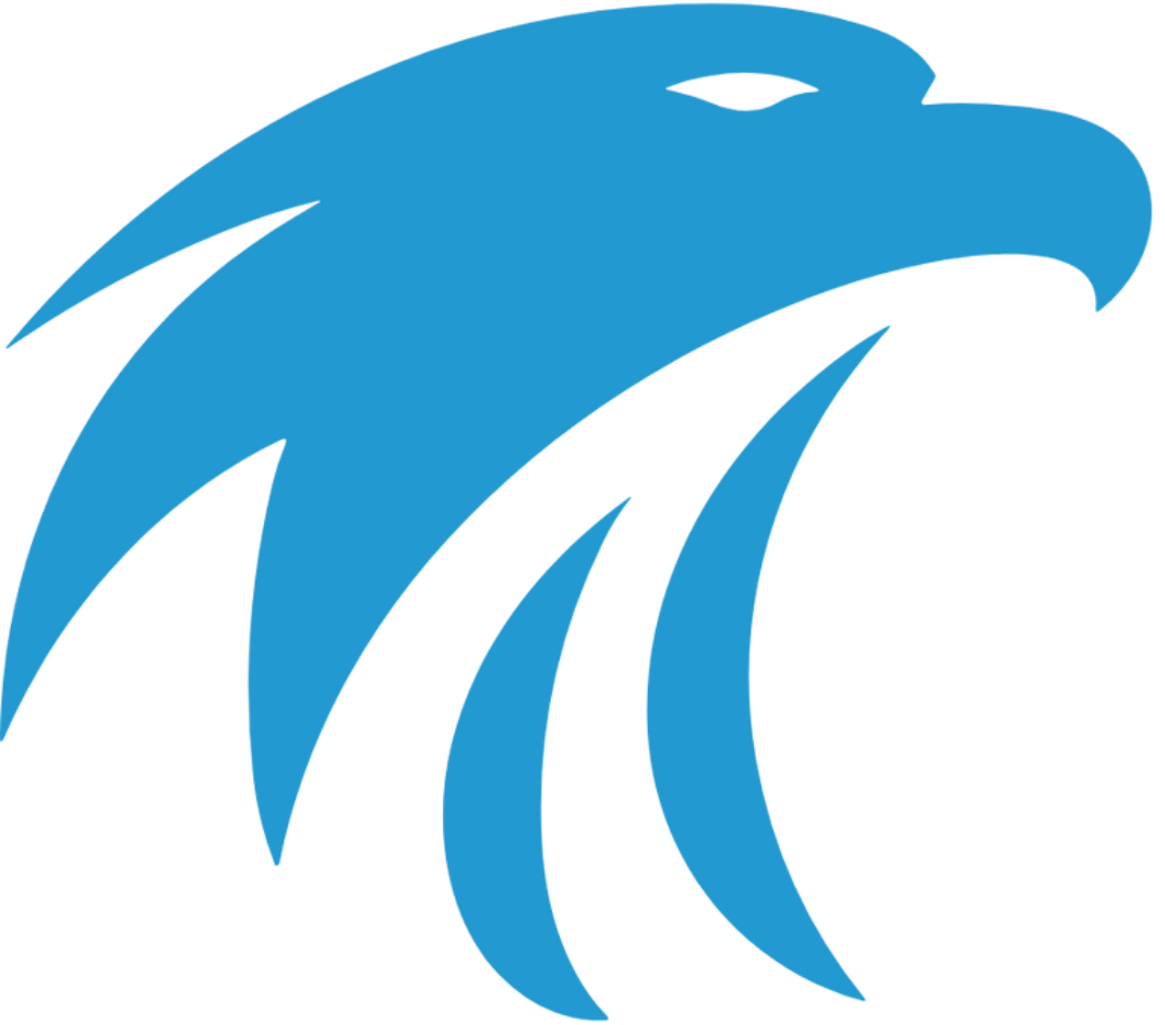 Integrity Led Falcon