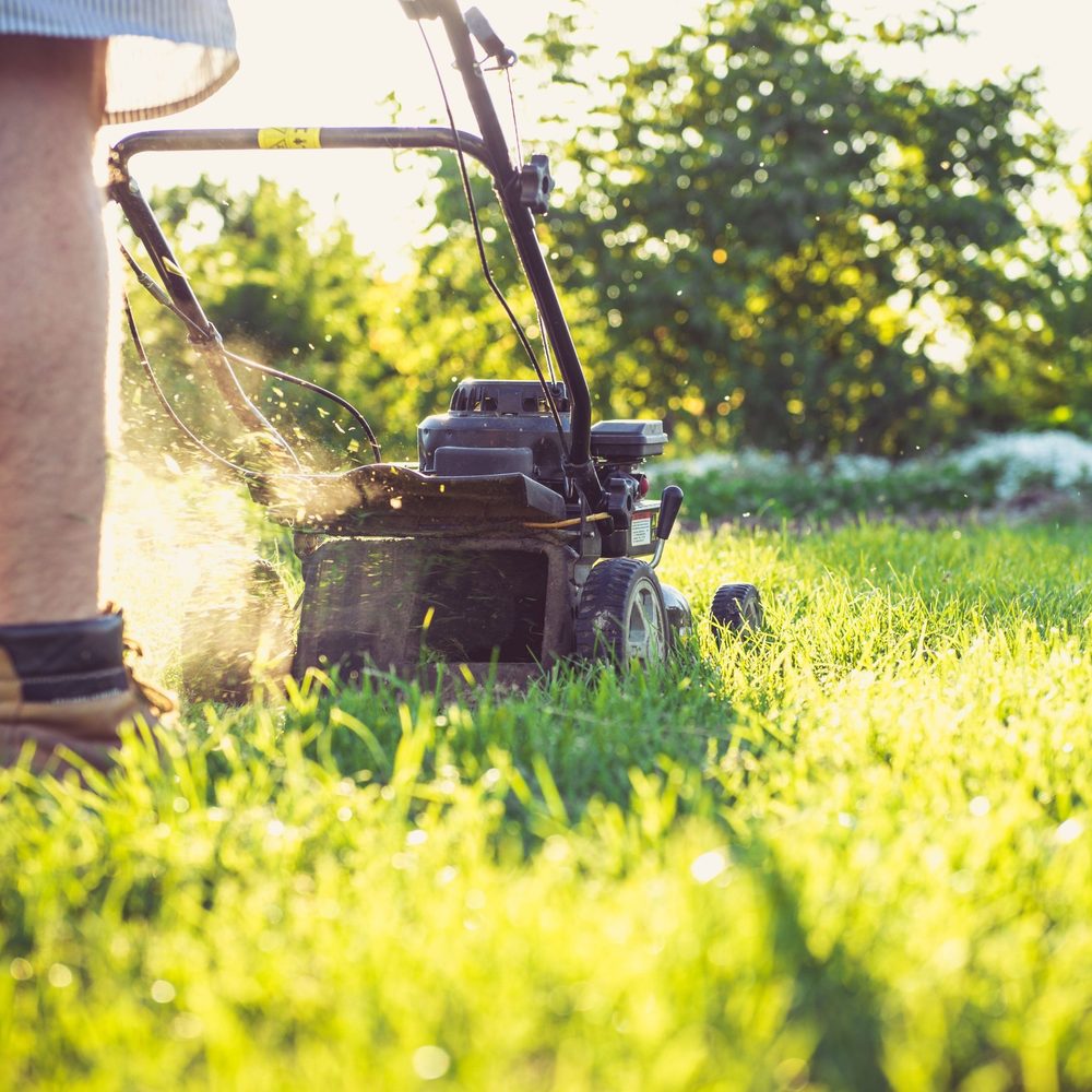 Landscaper mowing a sunny lawn