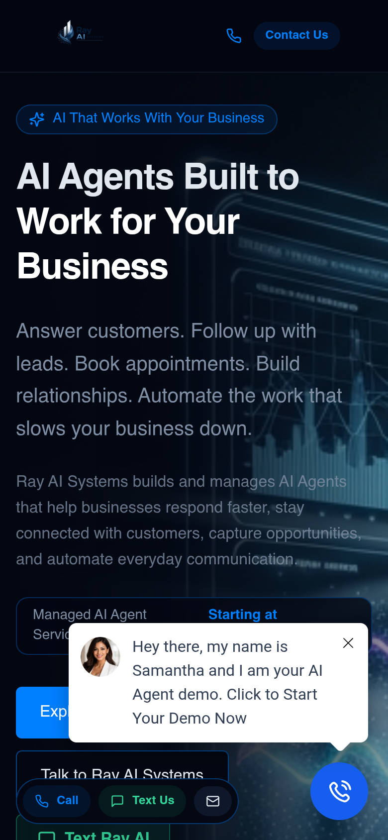 Ray AI Systems AI Chatbots mobile responsive homepage view