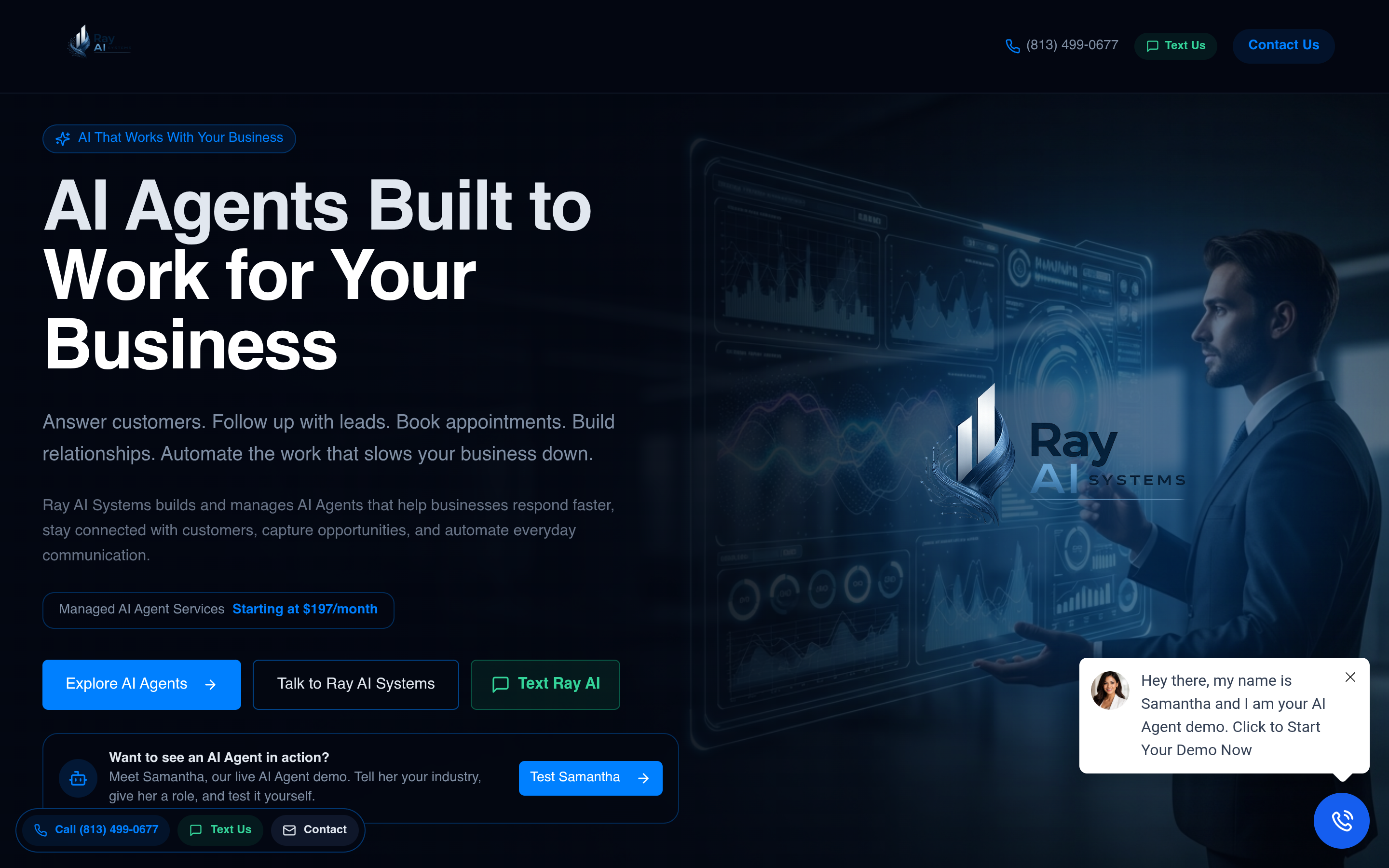 Ray AI Systems AI Chatbots live homepage hero preview with header, navigation, and headline