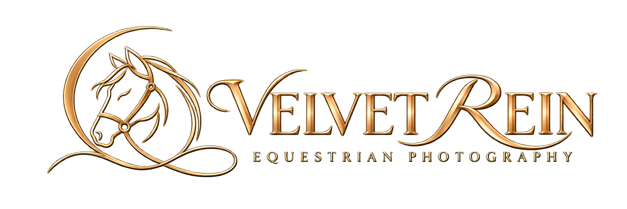 Velvet REIN, Fine Art Equestrian Photography