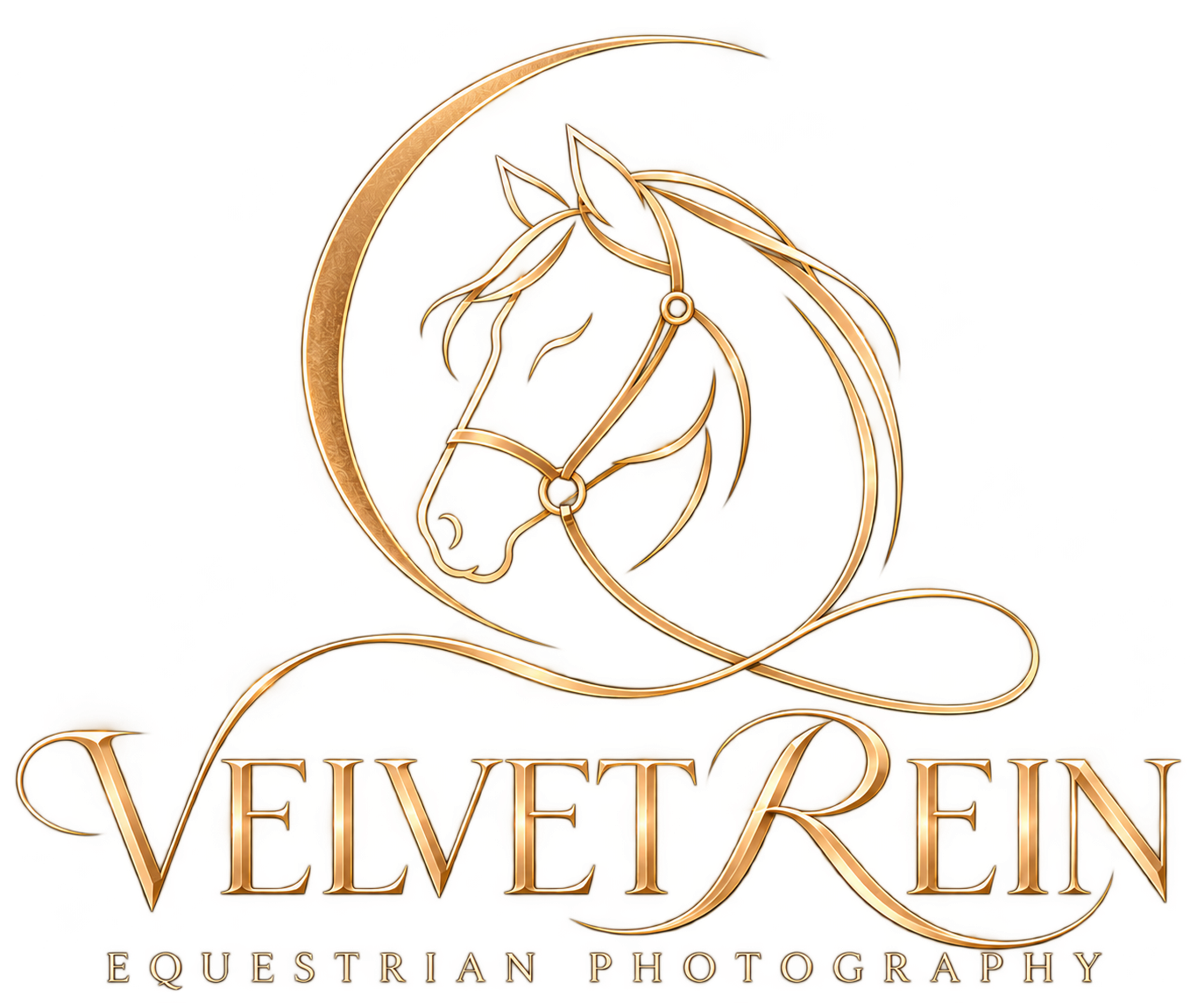 Velvet REIN, Fine Art Equestrian Photography