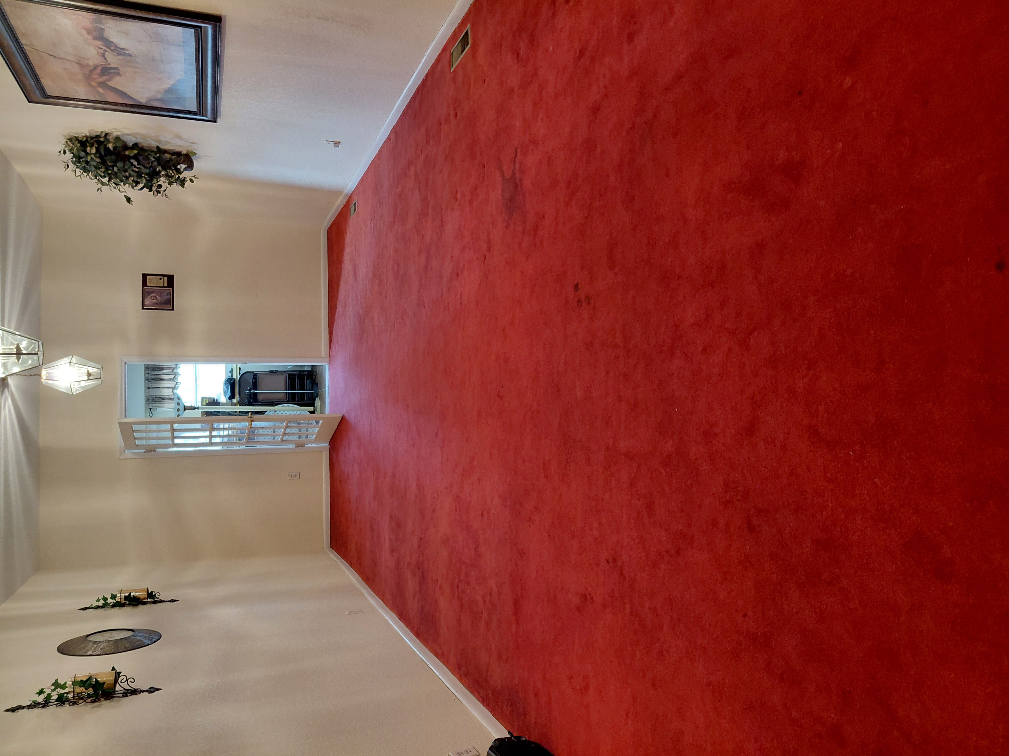 Carpet Cleaning